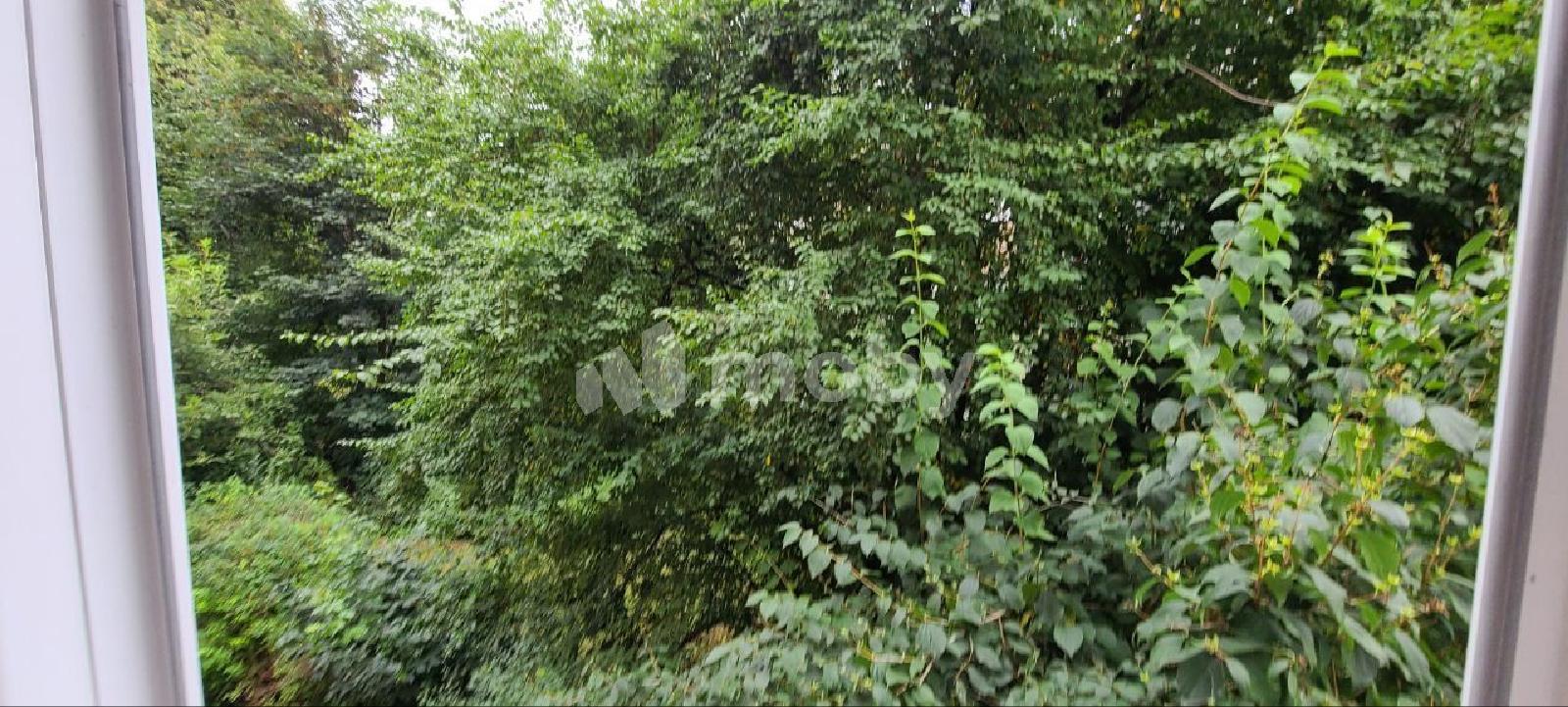 Фото: b7682bc4-28fa-48a9-952f-2e69f0d2a86a.jpg