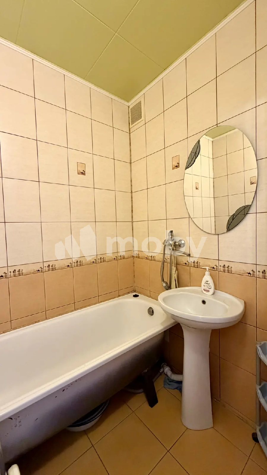 Фото: b7786220-9807-4dbd-b677-b1e9bc83f94c.png