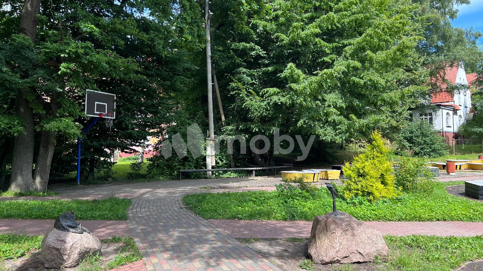 Фото: b81a6711-09c1-40b2-b5b3-30fb2d04149e.jpeg