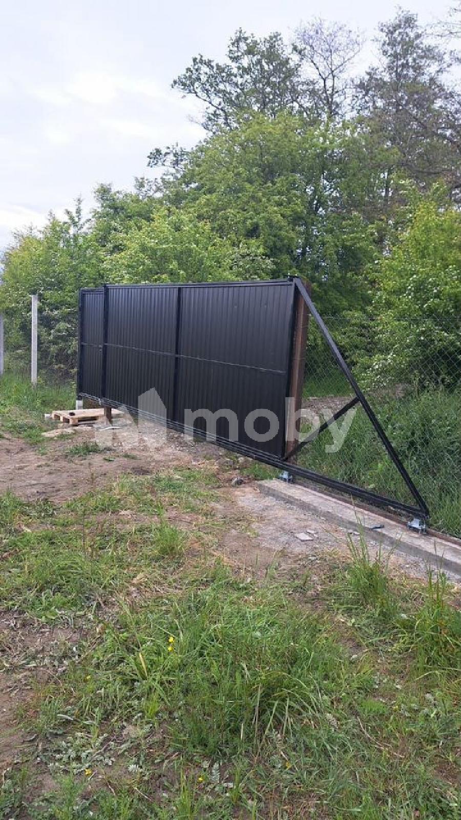 Фото: b890e6b6-efb3-45b5-9059-bf289e8973d2.jpg