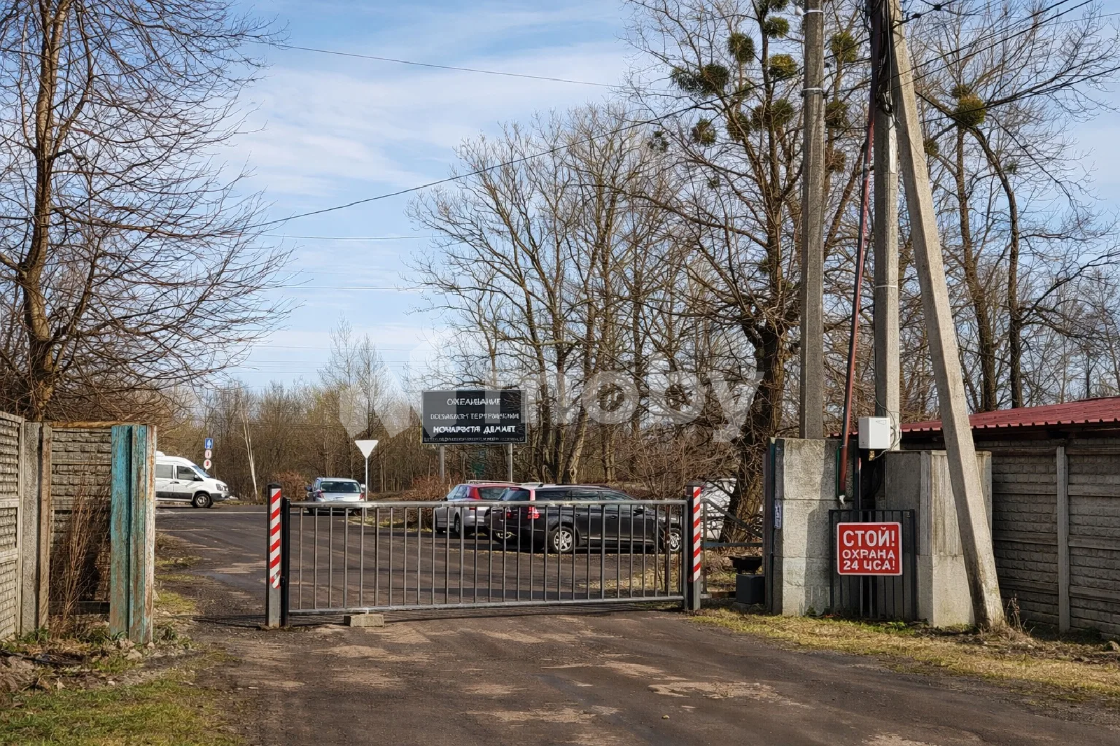 Фото: b8d3eb23-eae4-47c2-b76e-7c9cc9614a1c.png