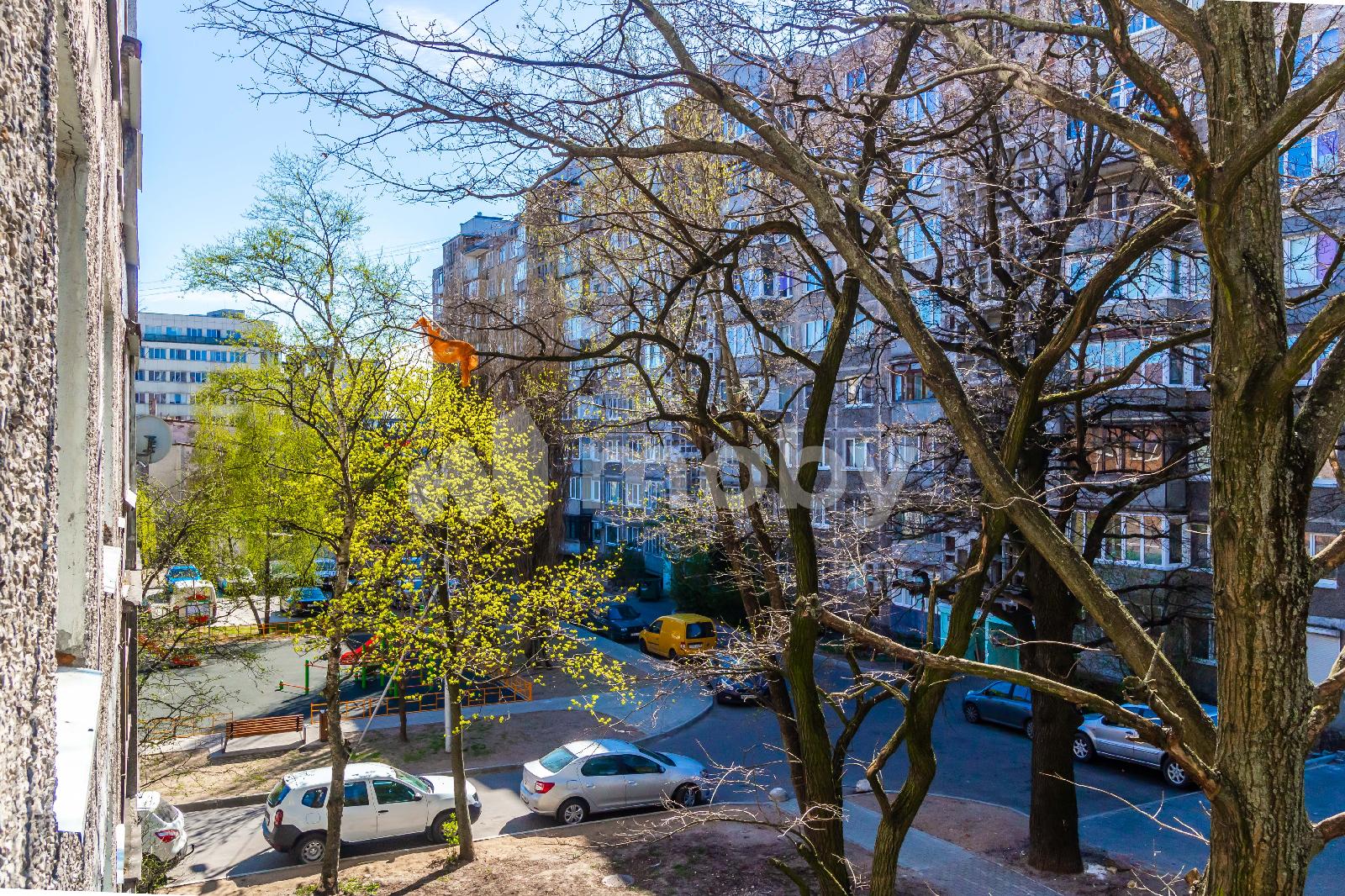 Фото: ba038804-e257-47dd-be5f-ed872e0e6849.jpg