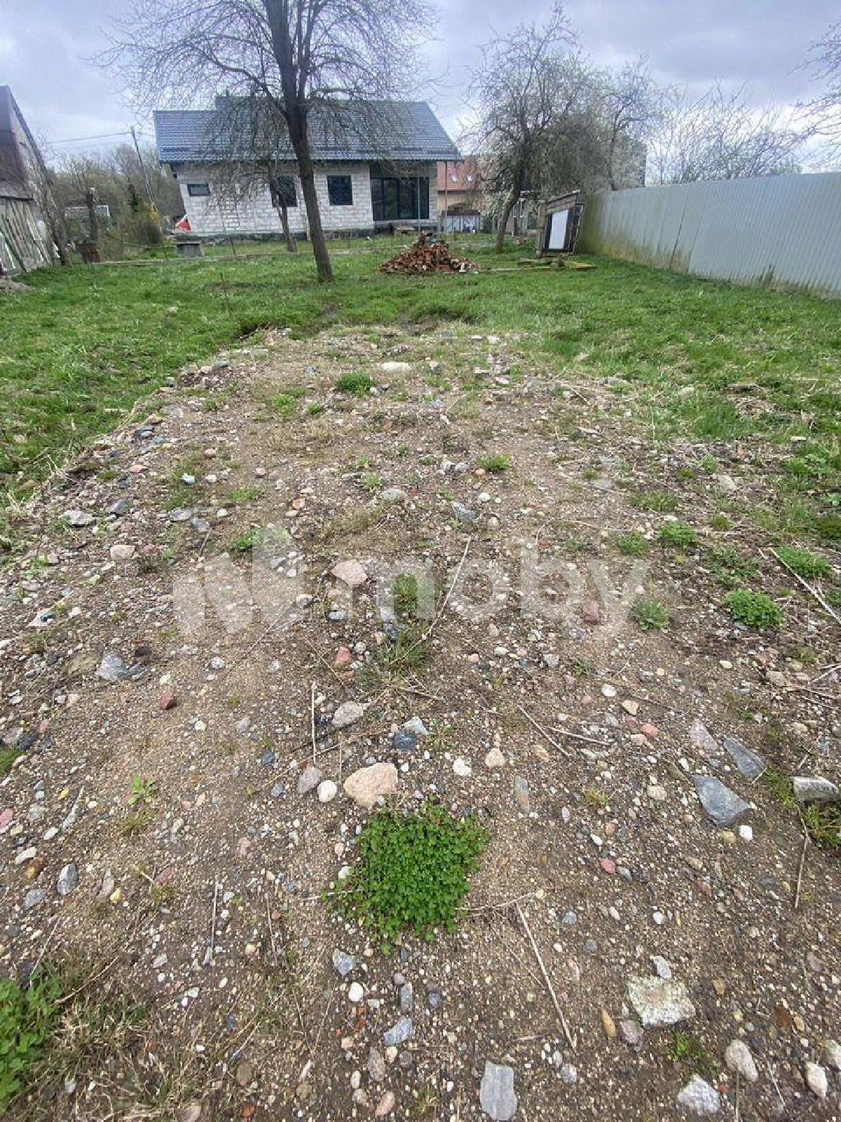 Фото: ba57fb98-af29-45fc-8e1f-d4c9233bd3c6.jpg