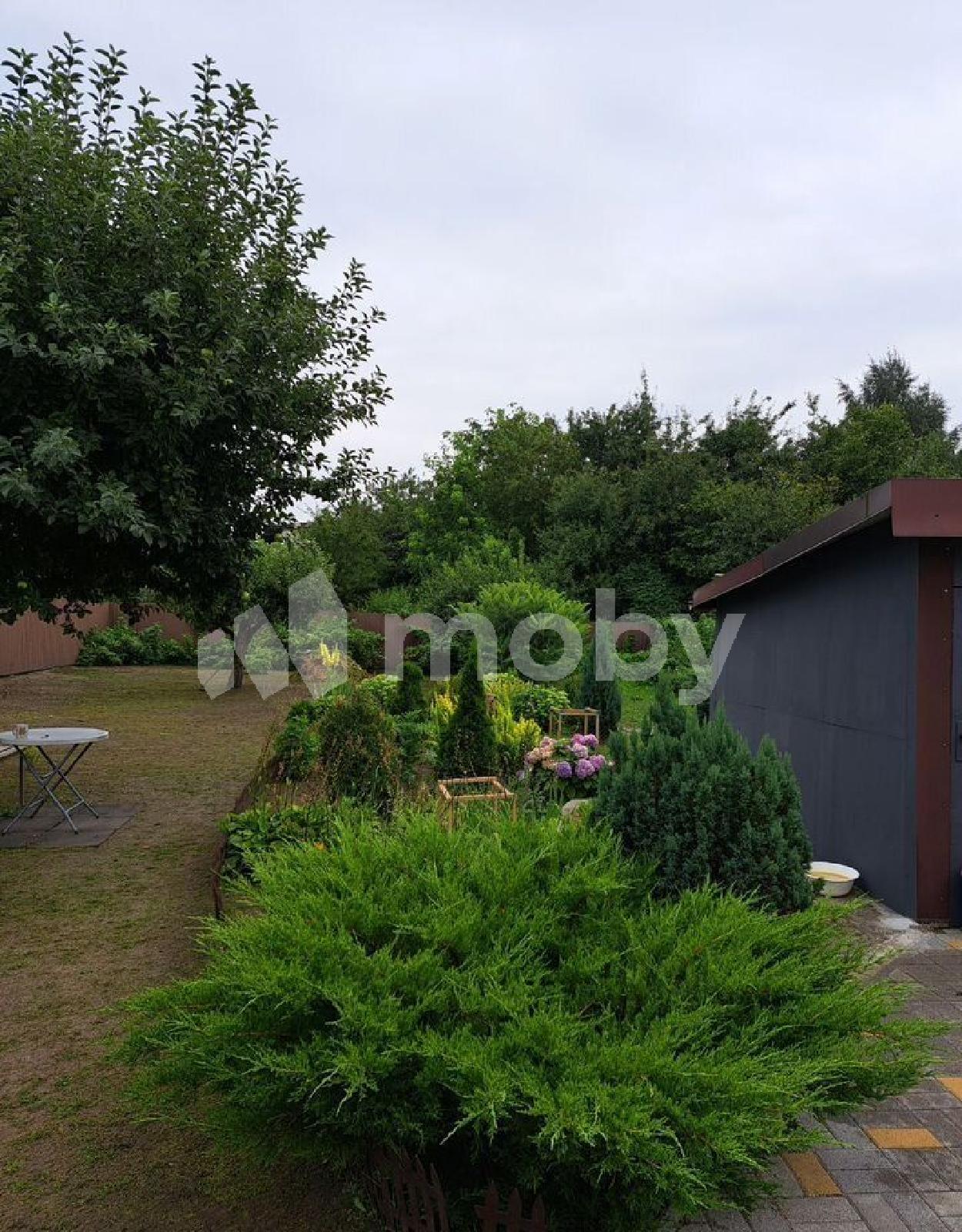 Фото: bb3e8694-240a-4eec-ba8a-49f2dadc4798.jpg