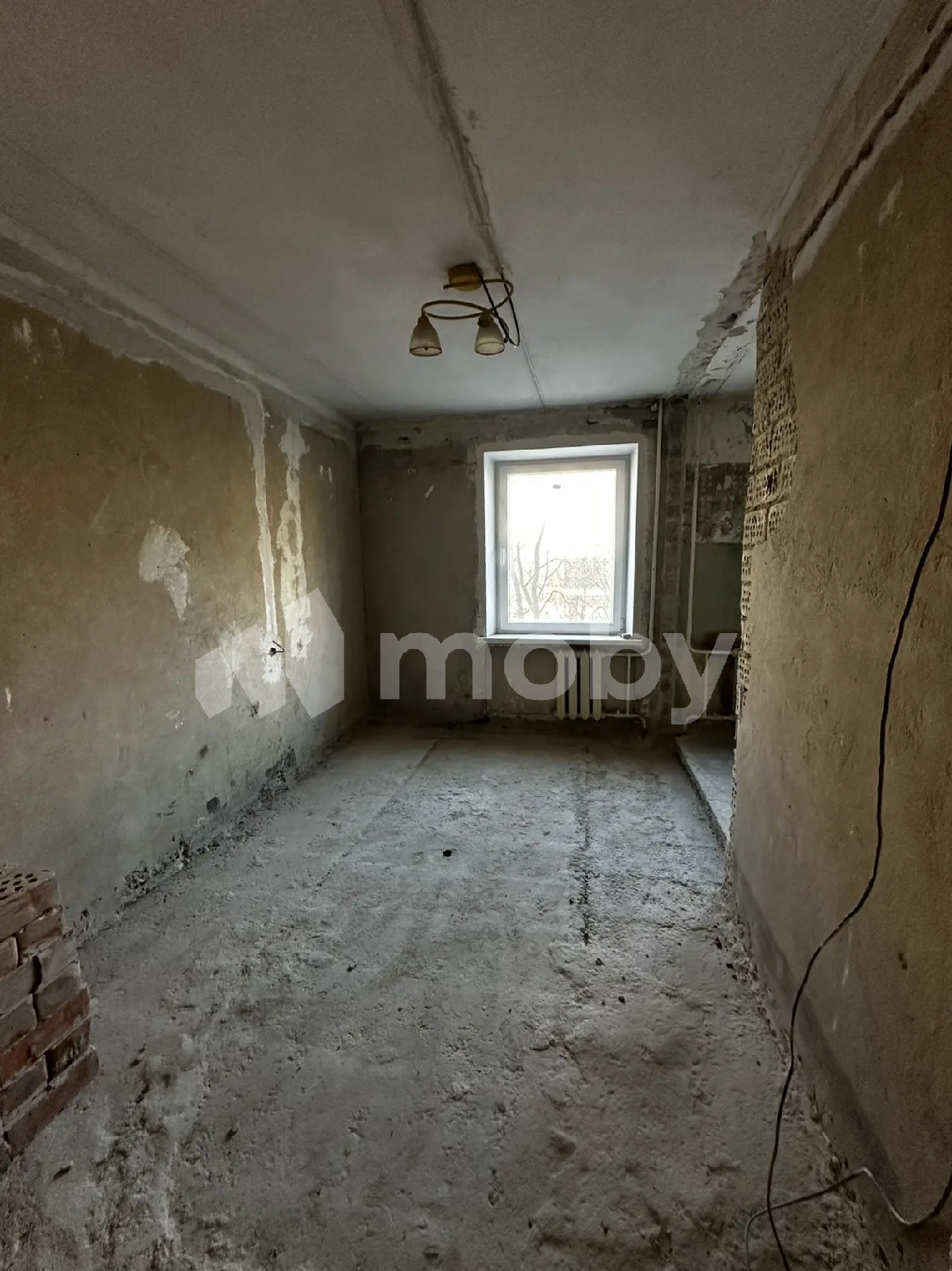 Фото: bb419790-ed16-41bb-97a7-75d9cea47828.png