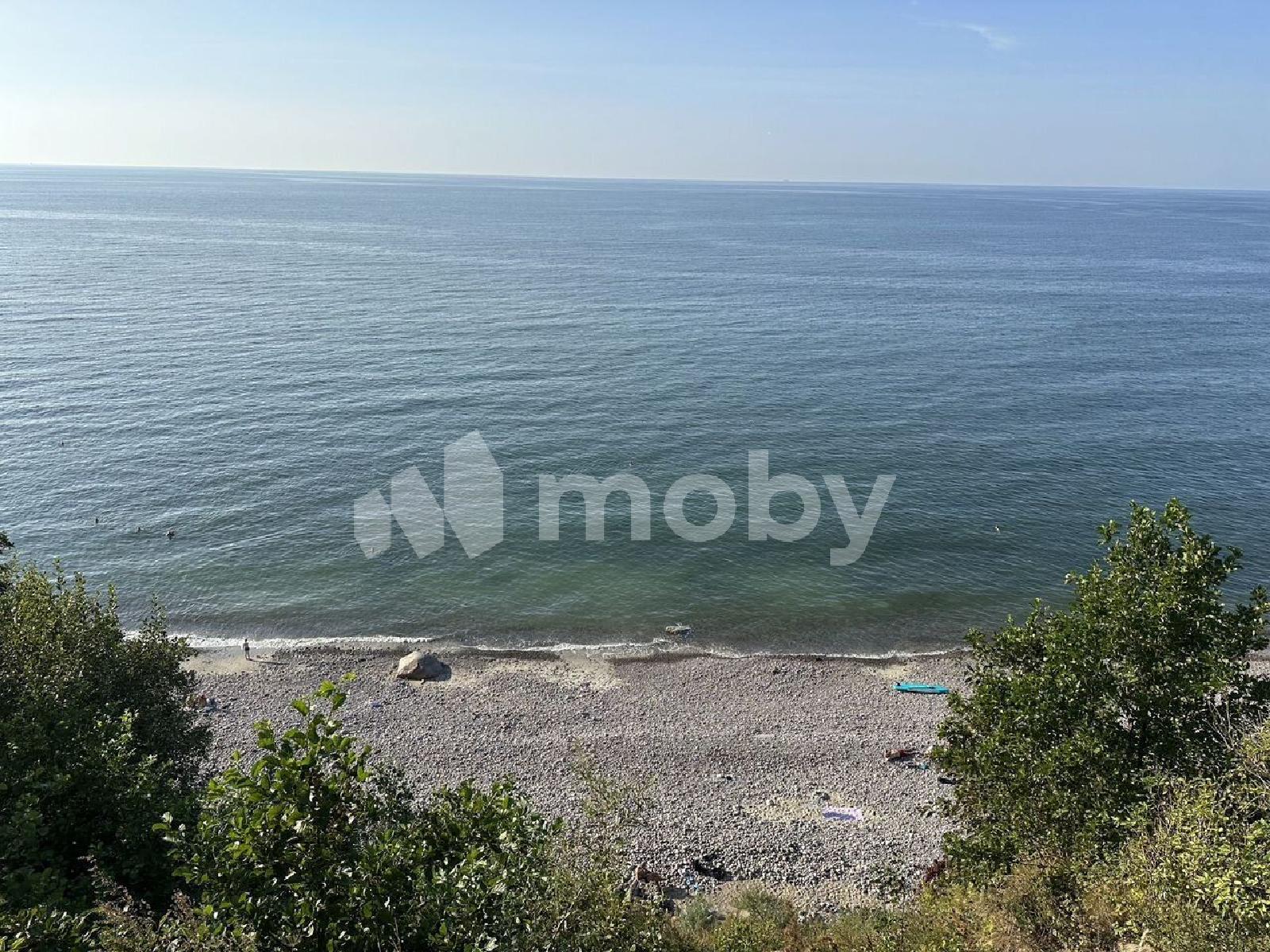 Фото: bc2c32af-0d7e-4060-993f-3342460408bb.jpg