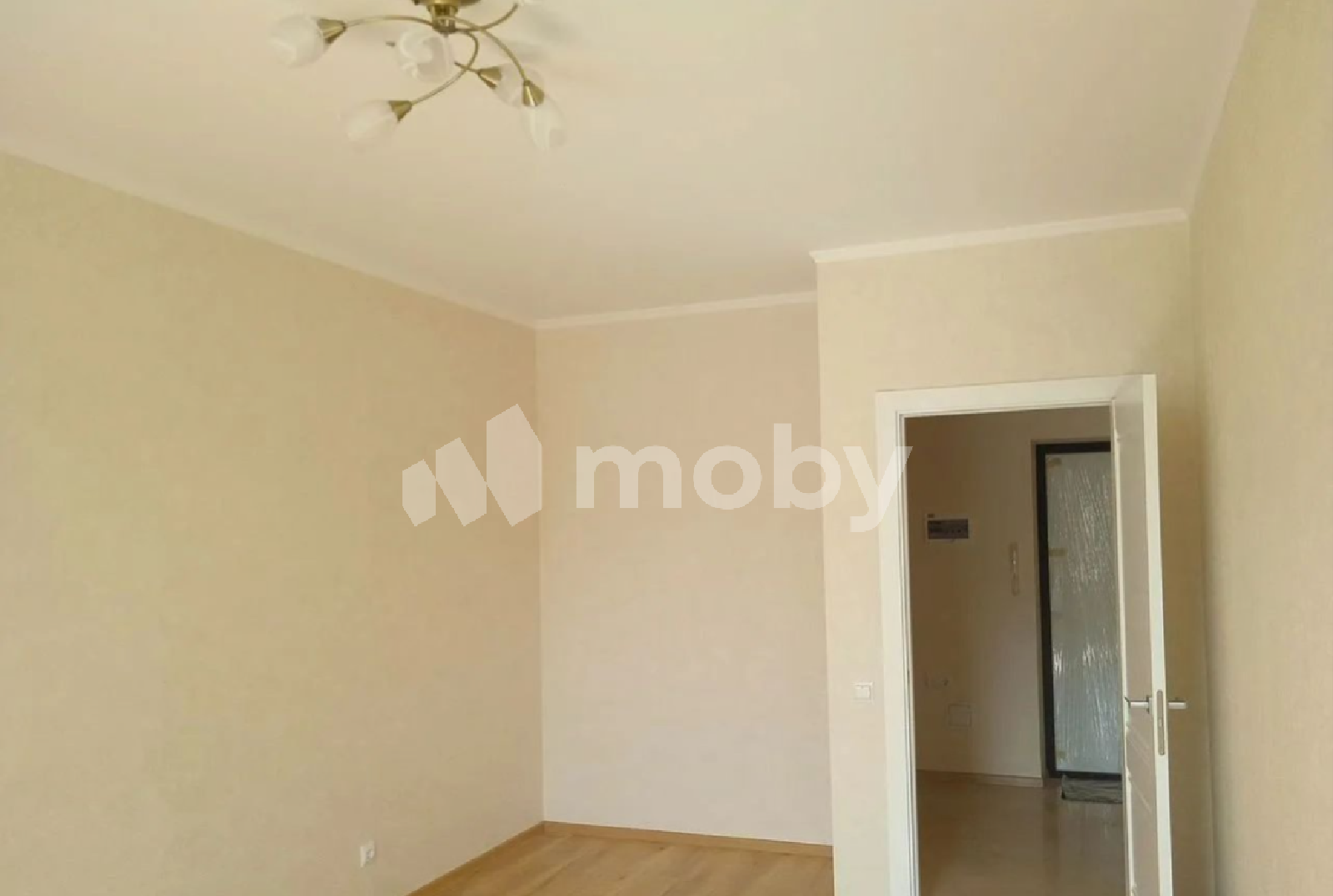 Фото: bc6cbad7-df06-40da-b873-bd33fdec6c74.png