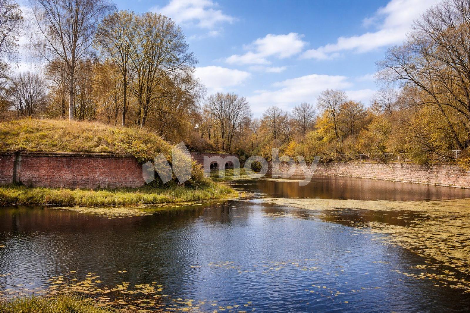 Фото: be8c5e50-f581-41ce-8408-02d07315116a.jpg