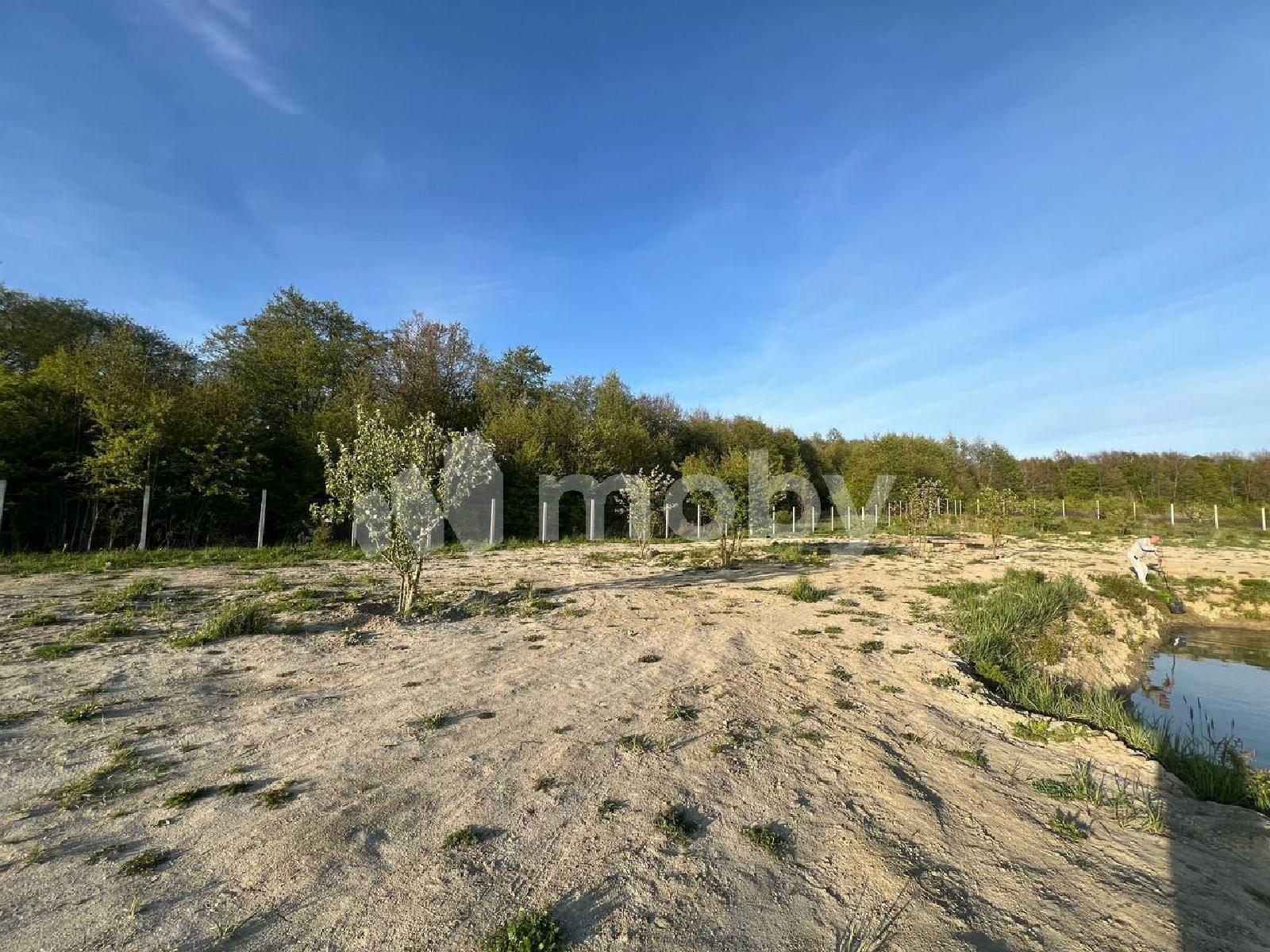 Фото: be9823a5-d4f5-4fbb-98e5-f0b868fe37a3.jpg