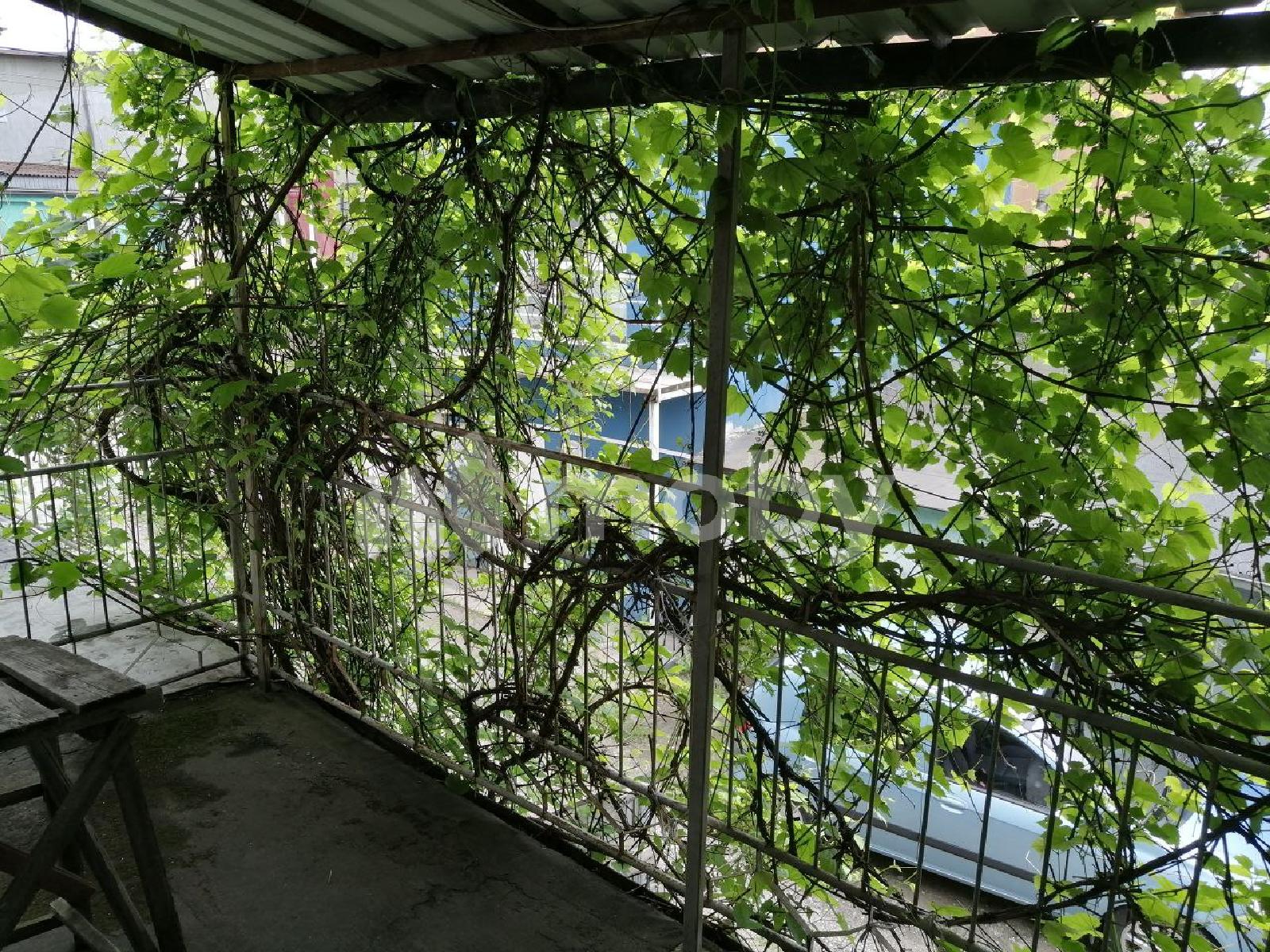 Фото: beb39794-2ed3-4c60-9e7f-b3508ecff255.jpg