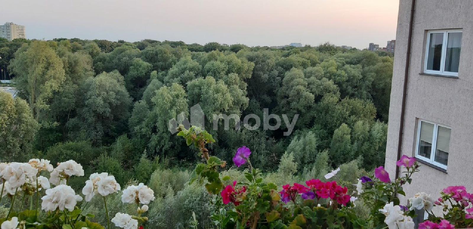 Фото: bf5c944e-60e9-442c-8a8e-6fe2df0ad80b.jpg