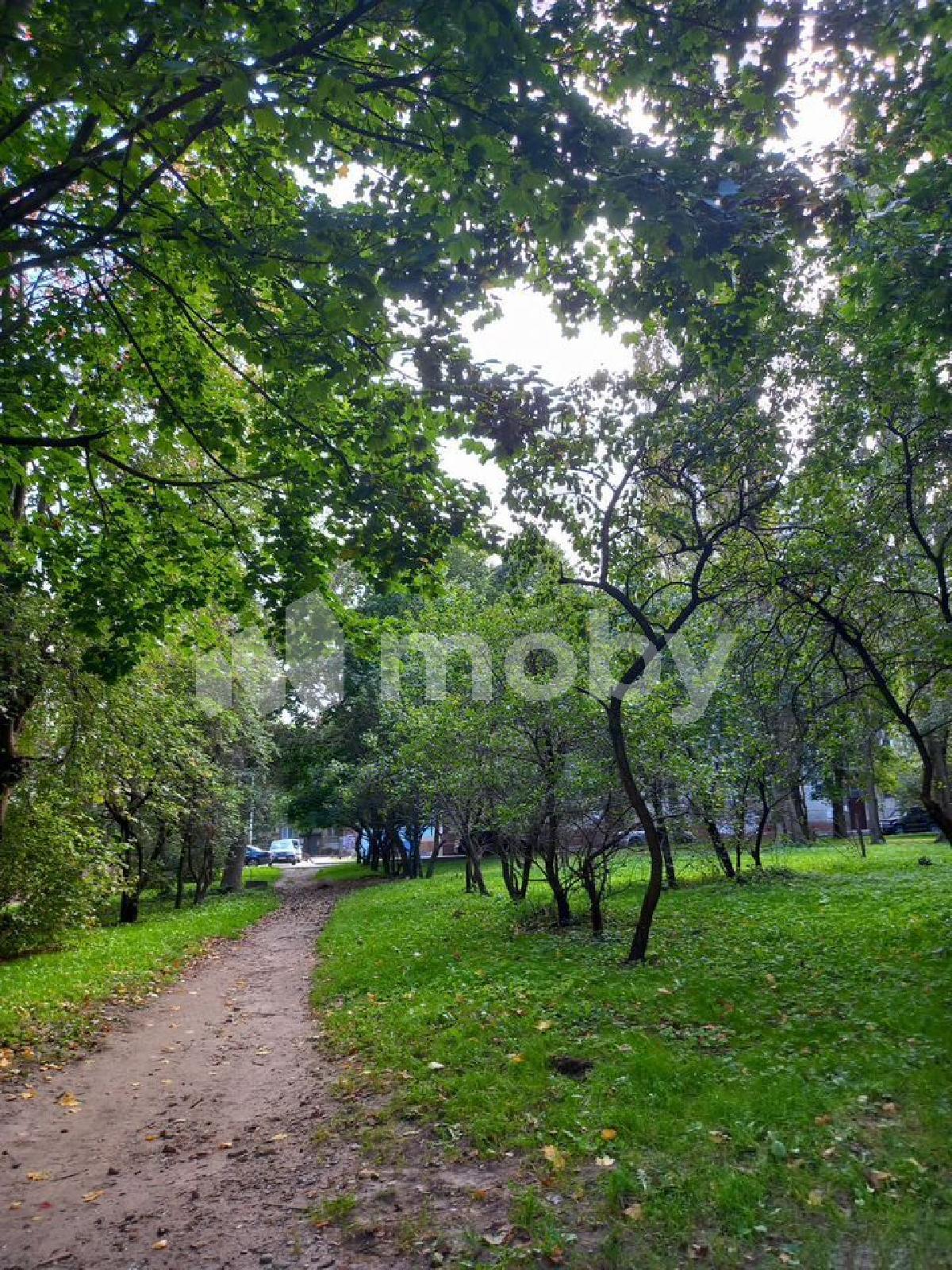 Фото: bf755ed4-4d78-441b-adad-73003bf1955e.jpg