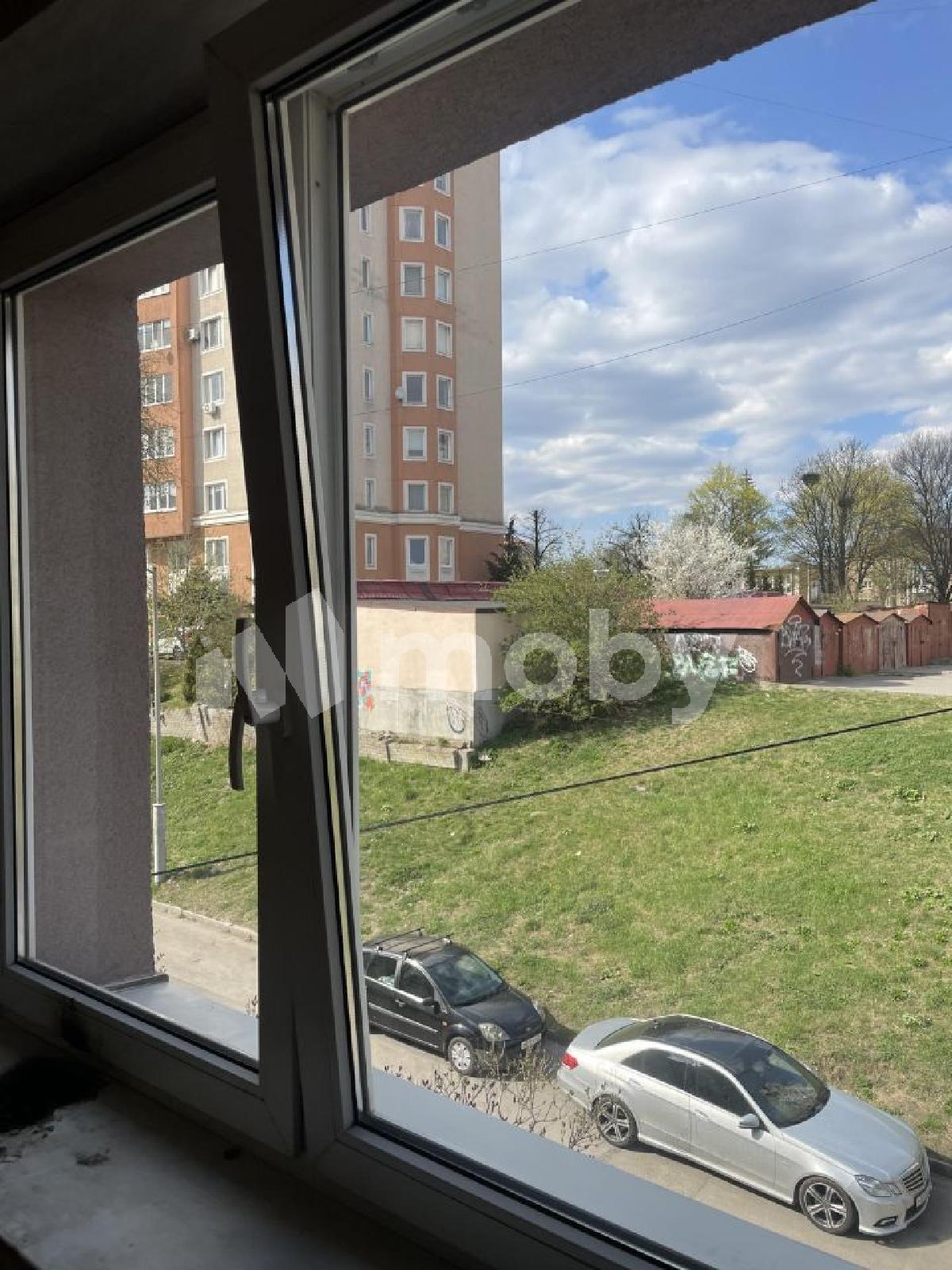 Фото: bfe2fda3-6c0f-420d-a49b-02068f854e5e.jpg