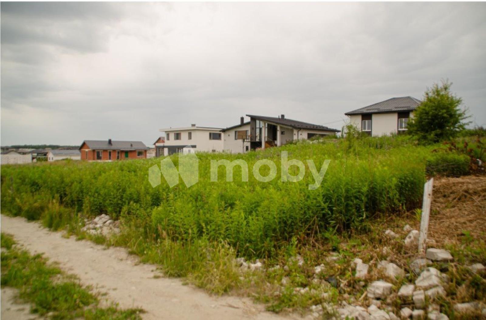 Фото: c20b82d4-b489-4040-8d56-101e16e60aa5.jpg