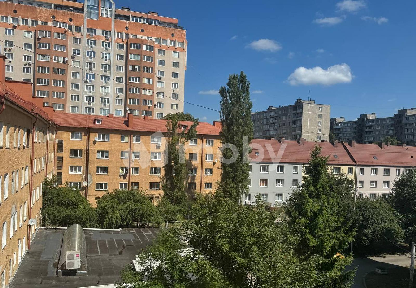 Фото: c231856e-f264-4955-b6ad-8e043931cb9d.jpg