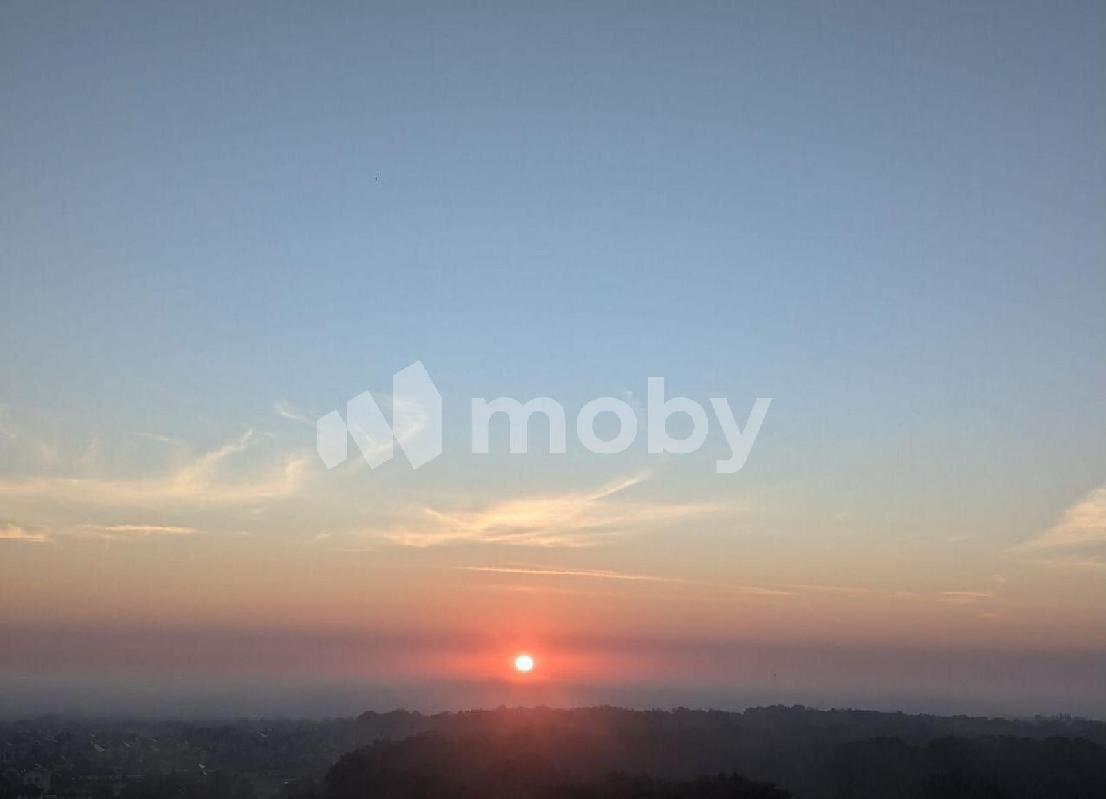 Фото: c25f583b-de83-46b4-bd0b-6ddab1d66746.jpg