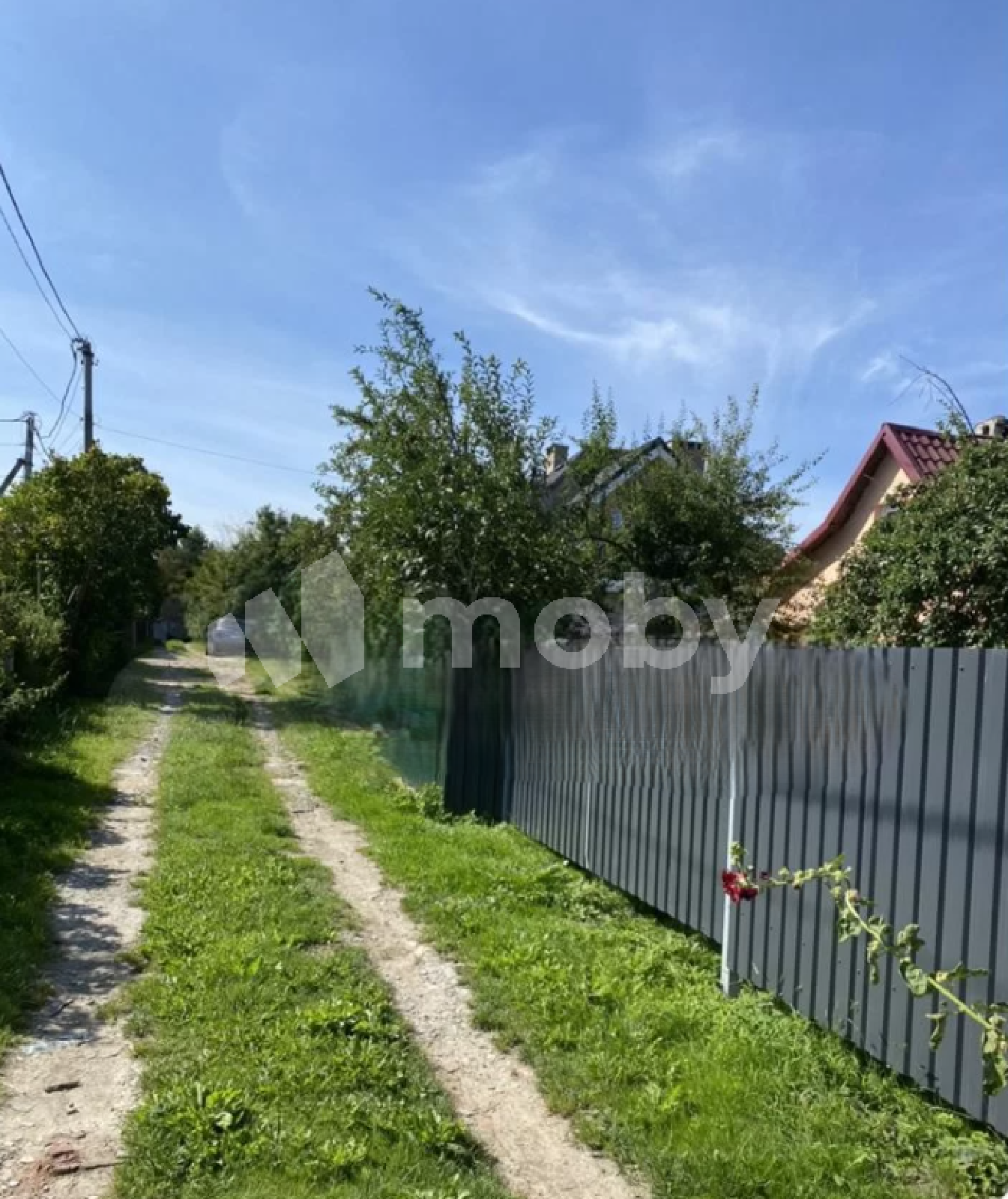 Фото: c297c5fb-d9a4-4374-8e6b-6e5b1a1122c2.png