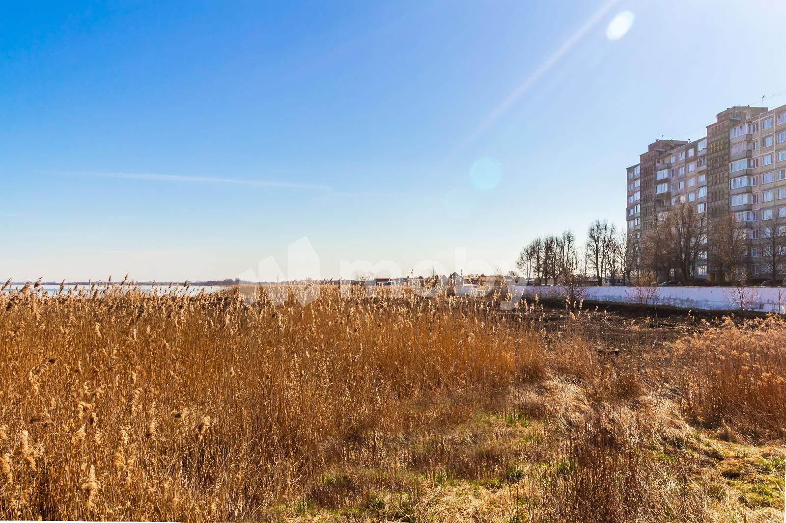 Фото: c2c77cf2-307f-4c43-af72-60cdf9d0c692.jpg