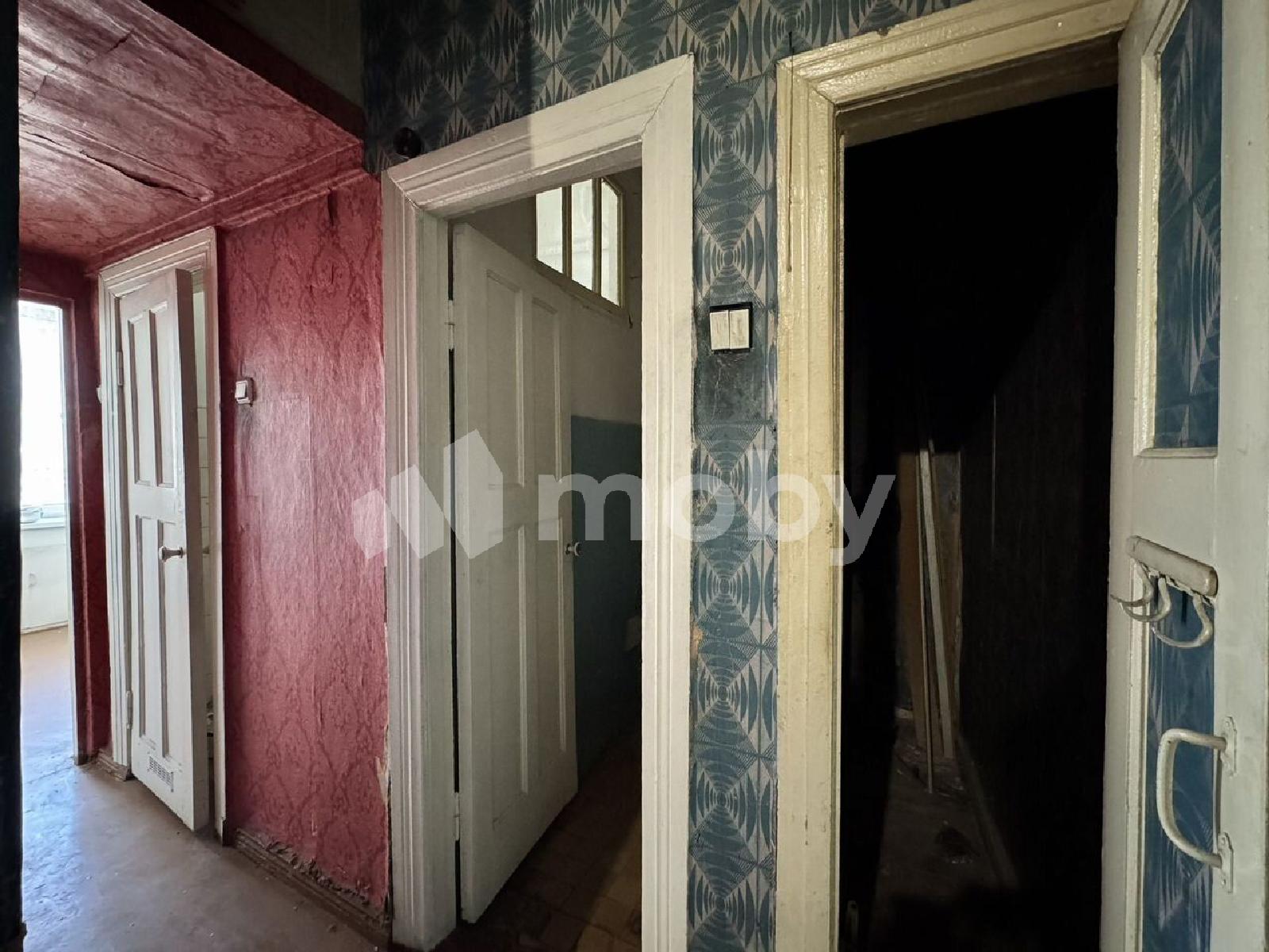 Фото: c2e8af7d-906a-40a3-99be-dd8688d5e0c6.jpeg