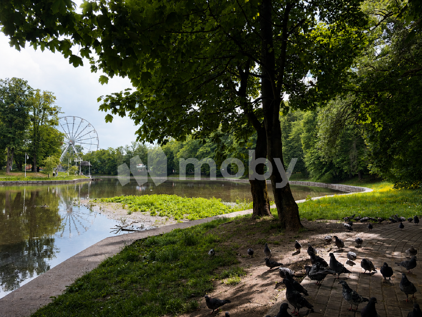 Фото: c300cfac-c365-4910-a5fb-1c9318807fde.png