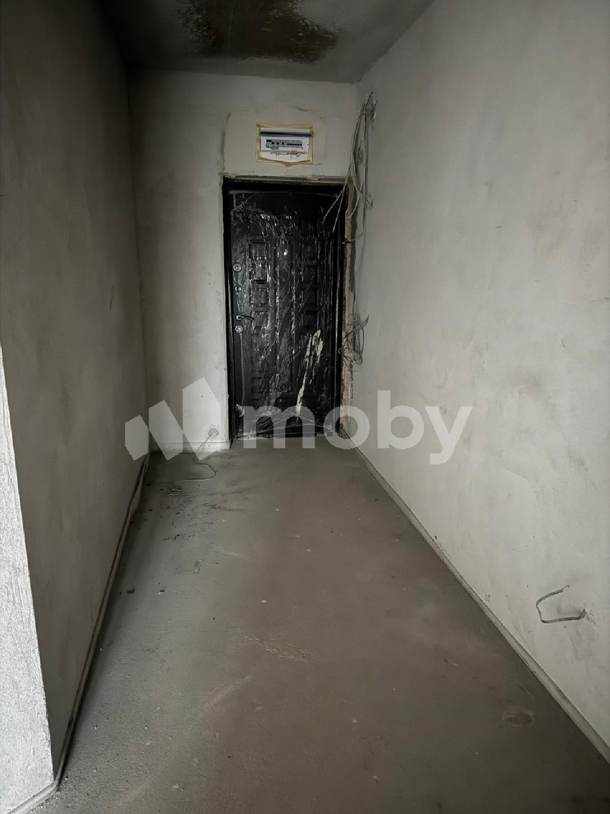 Фото: c309d7da-6e5f-4ce9-97ac-e36c49b2b47b.jpg