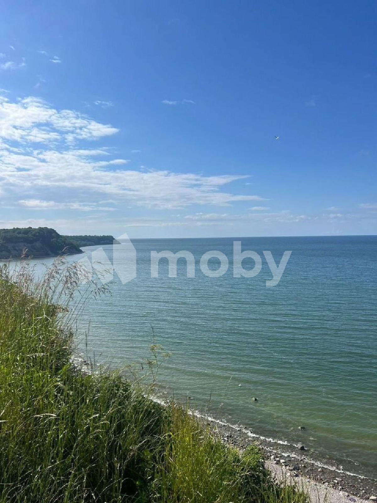 Фото: c3450904-fc86-4e57-b582-eeb864a71340.jpg