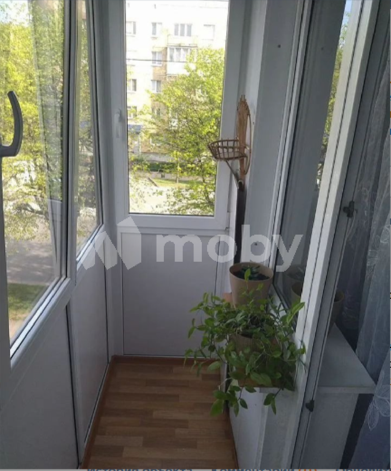 Фото: c34fb8ee-12fe-4265-9c77-ac4a05e65664.png