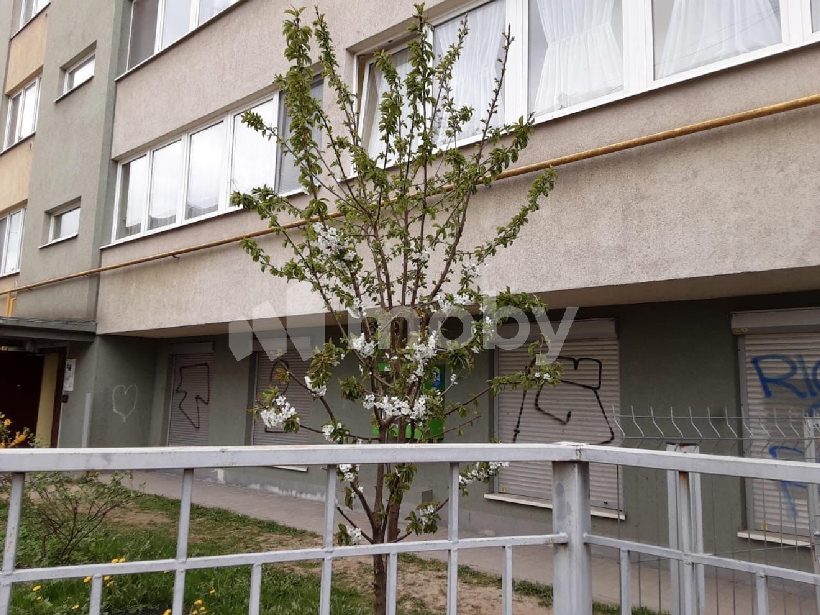 Фото: c4186197-aa60-44f1-86a8-b7e345132032.jpeg