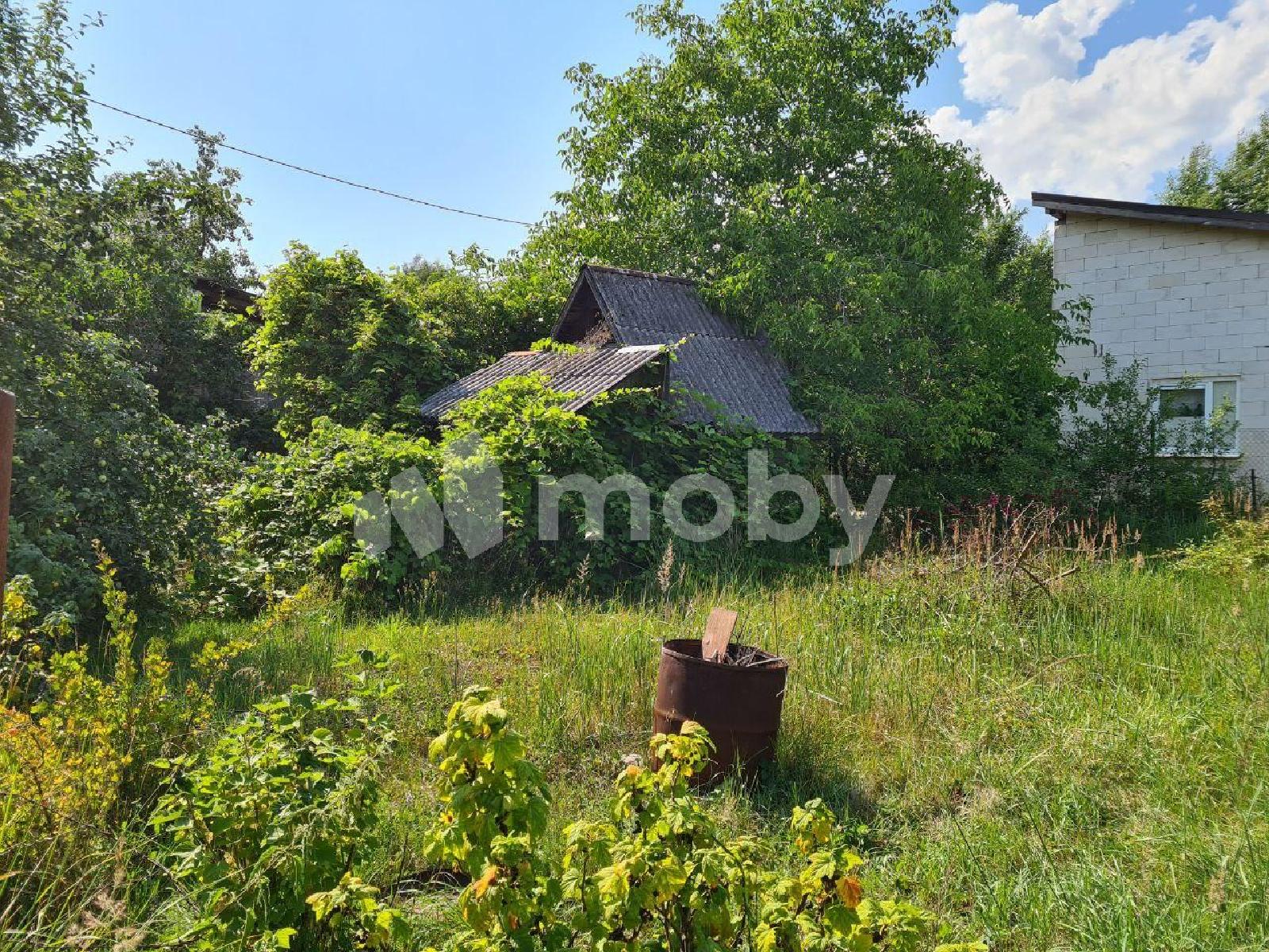 Фото: c4e6b658-d77e-4b59-8973-c0ccc06f3d39.jpg