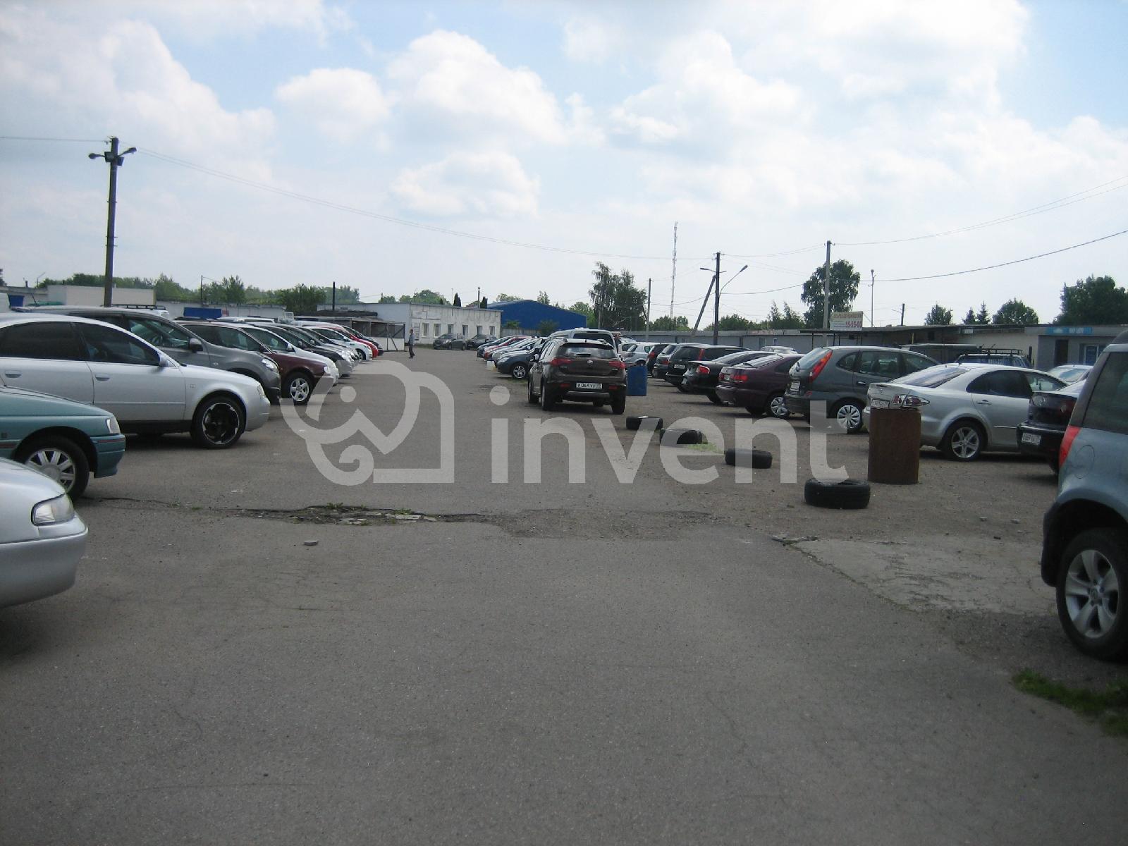 Фото: c4f46059-530f-4fbf-a1c3-31bfda5976cf.JPG