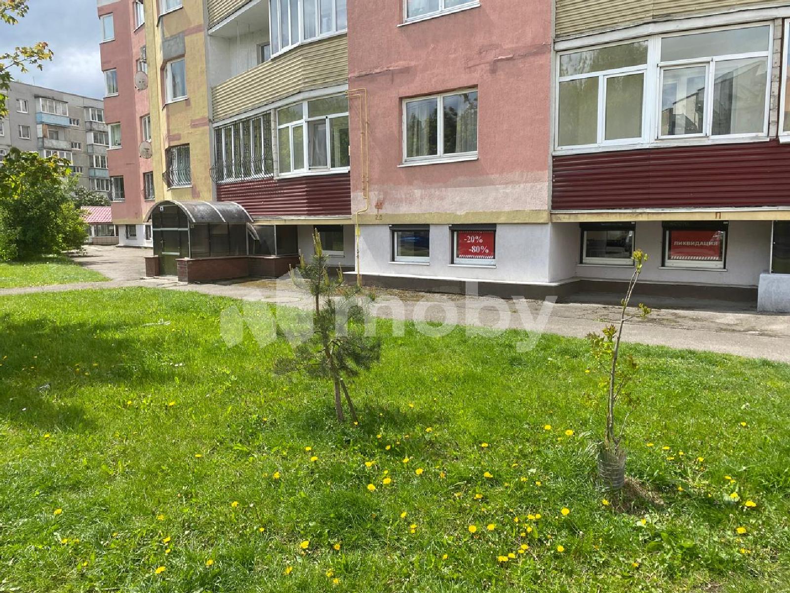 Фото: c5a605a9-eaf4-4beb-8644-838e6d2286b0.jpeg