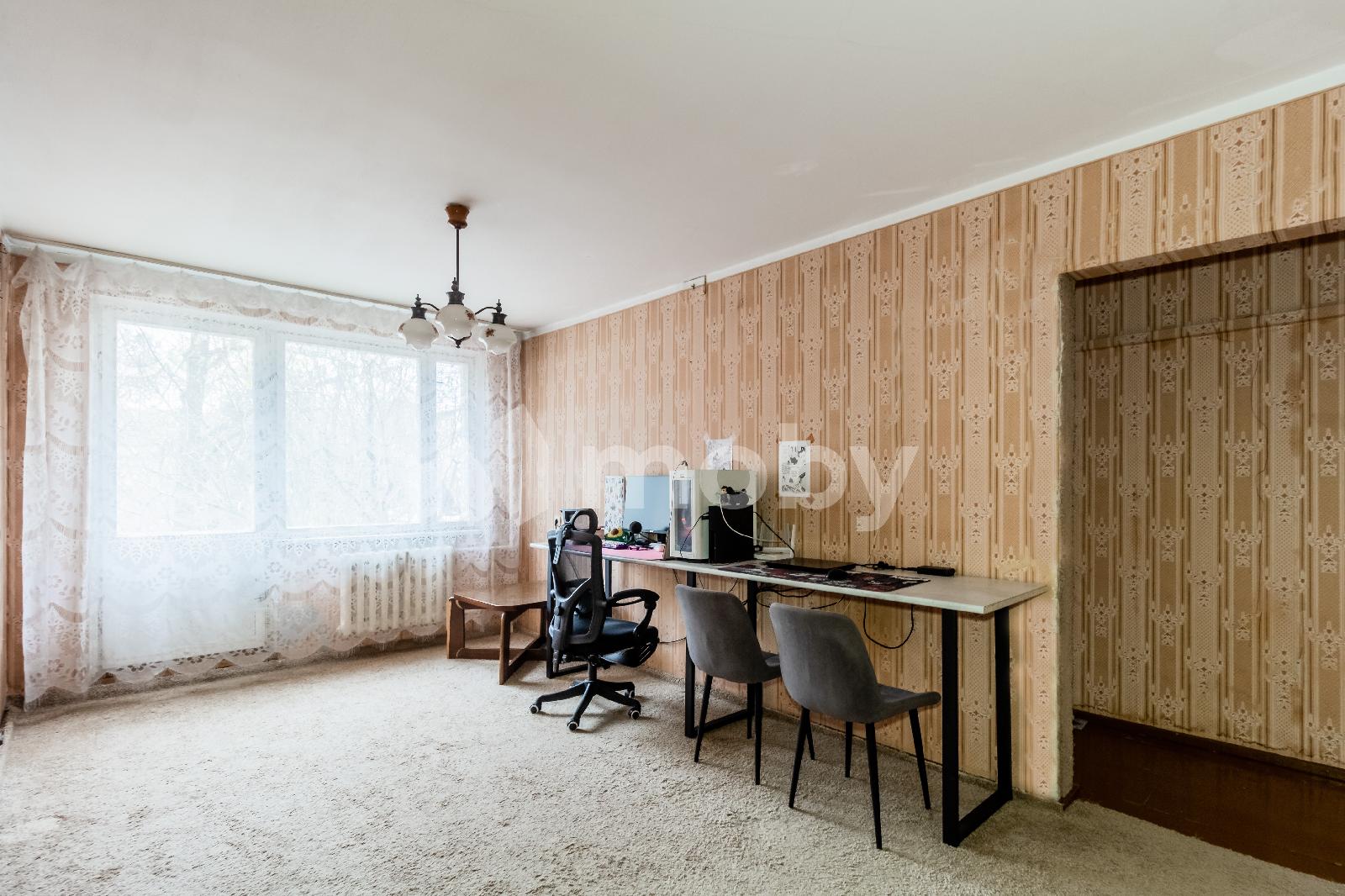 Фото: c5a781af-c60c-483b-9076-0ff685096b5e.jpg