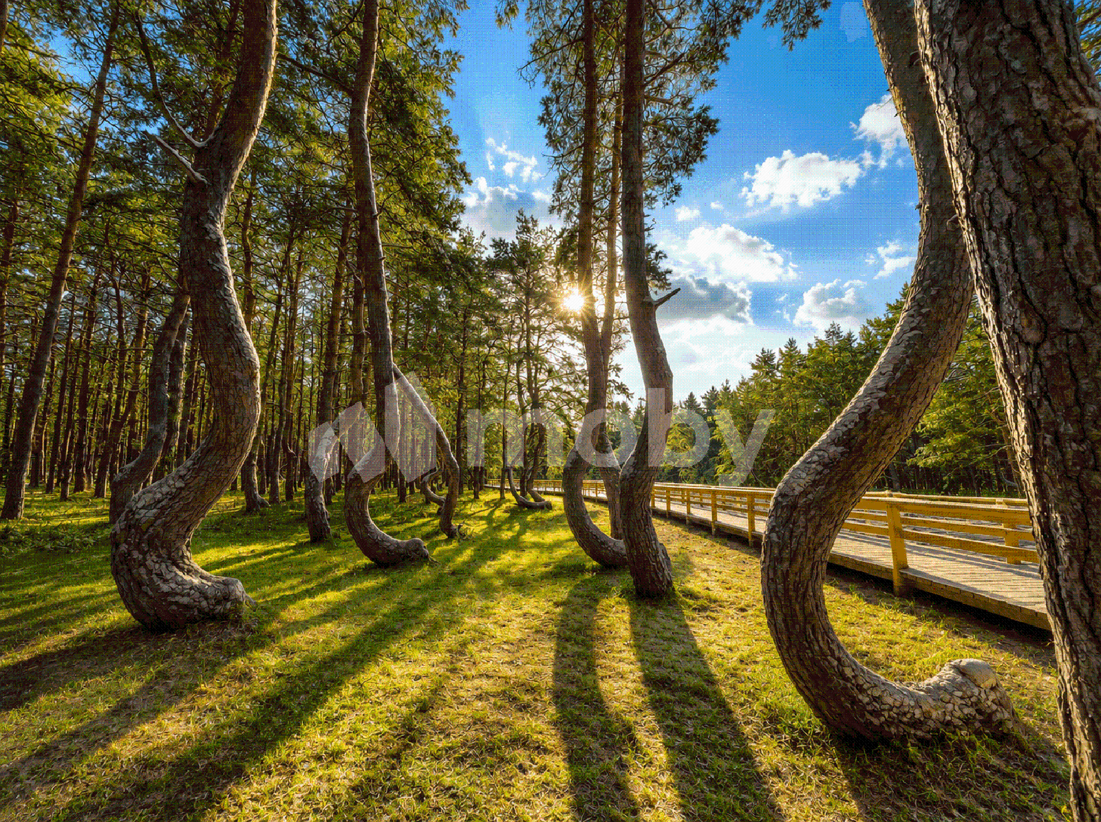Фото: c61c6b7a-1f1e-48c7-b64f-87b8cfbb14dd.png