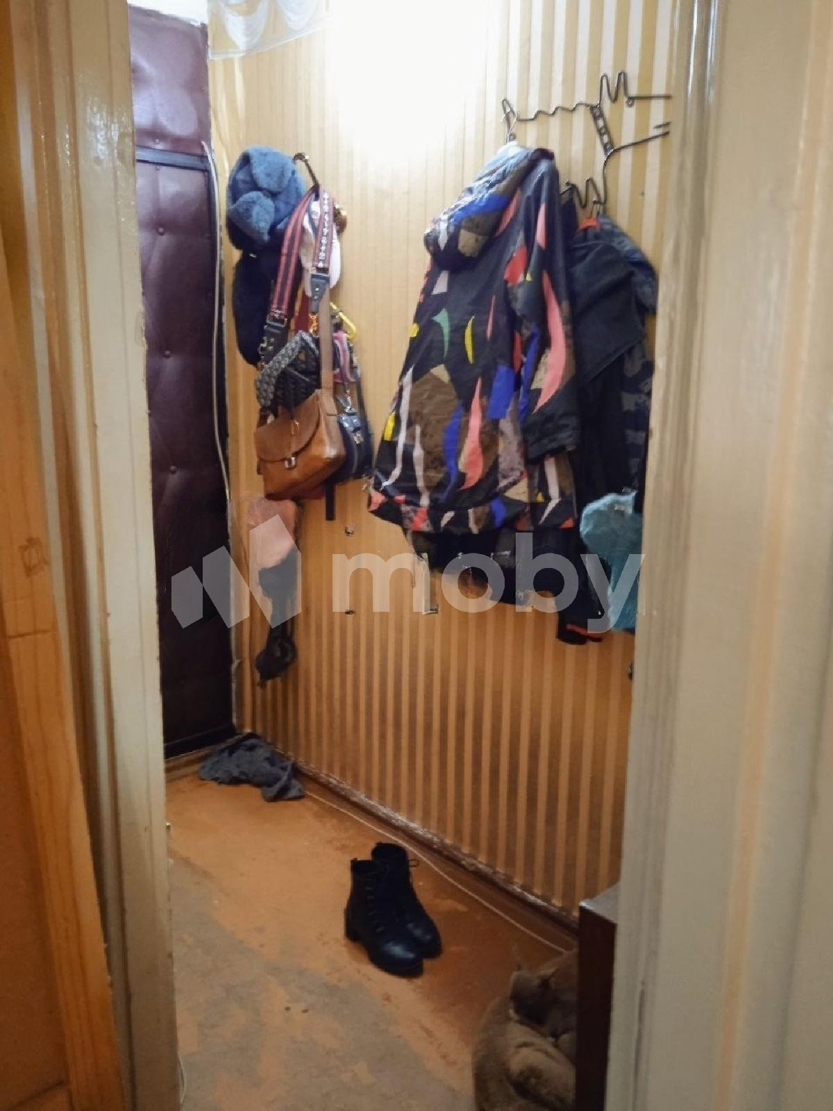 Фото: c6319530-78e9-477f-b56c-ca27e601c9d0.png