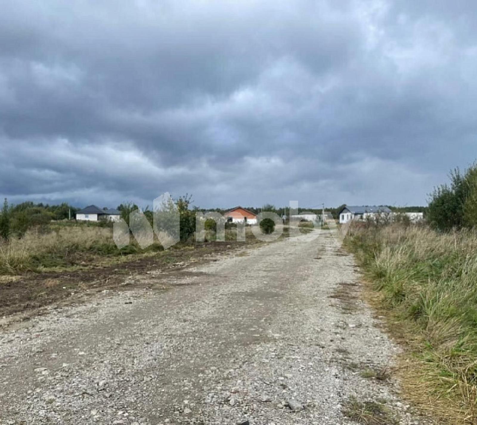 Фото: c6664d32-1628-4961-8a8e-f80afb0a59e8.jpg