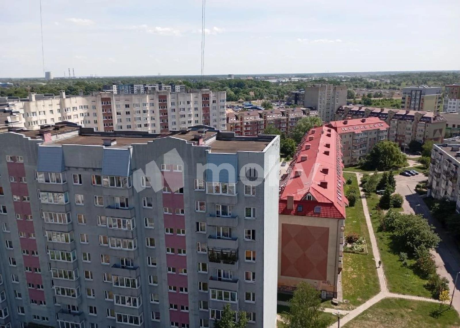 Фото: c7178e10-ea63-435d-a552-9a1dcb6b6661.jpg