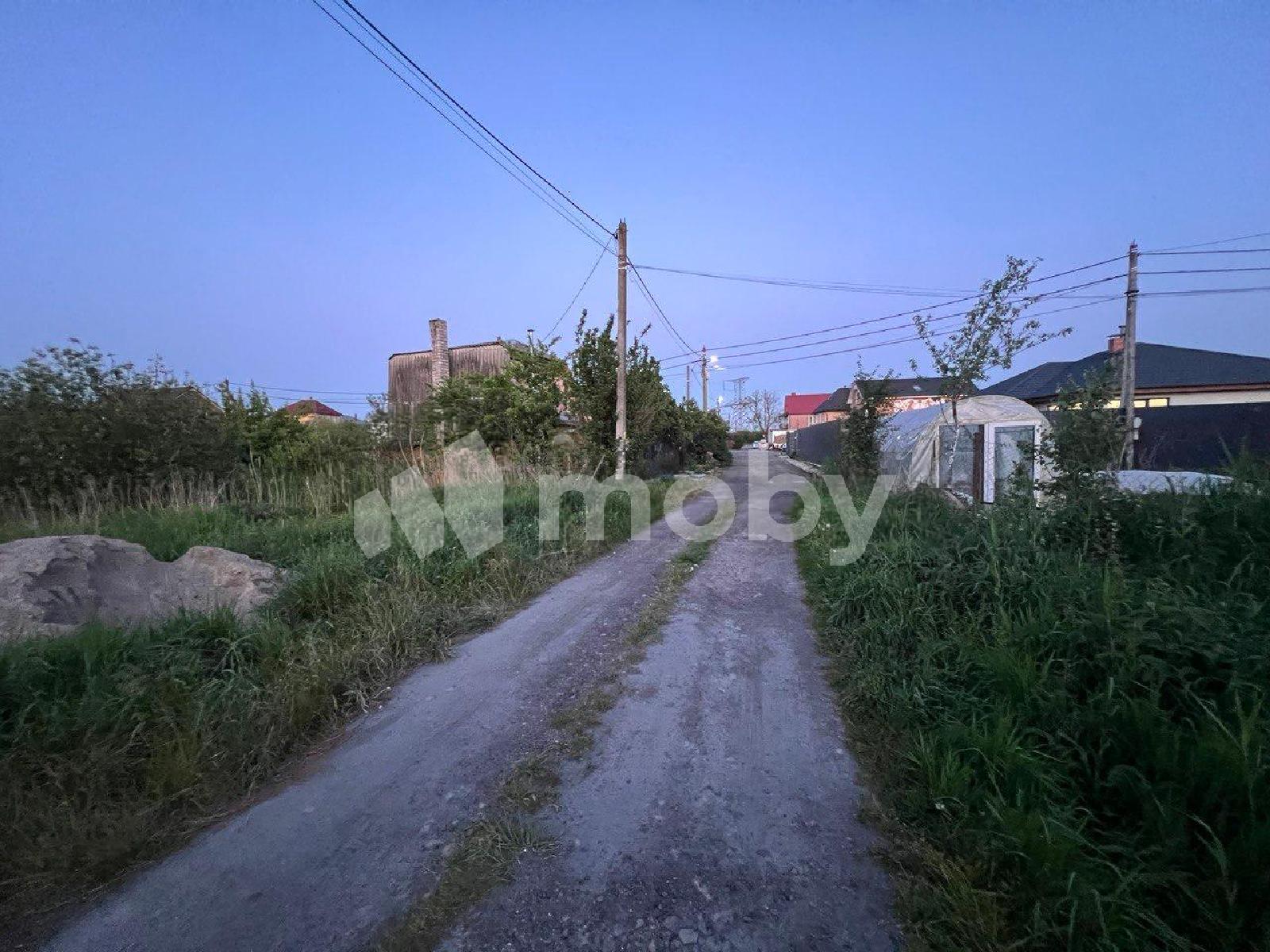 Фото: c82b42ee-2c8b-4c24-857e-e408286e0900.jpg