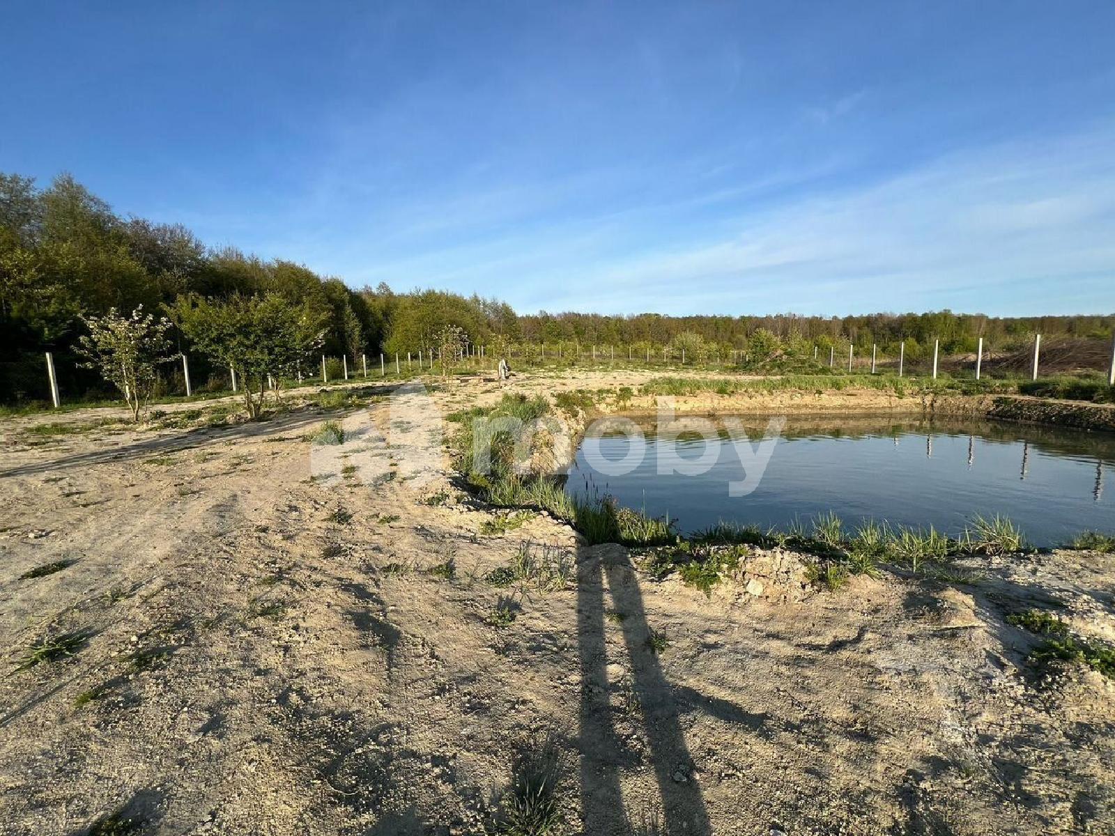 Фото: c8b51d15-4aba-4e07-992b-0549b18821cf.jpg