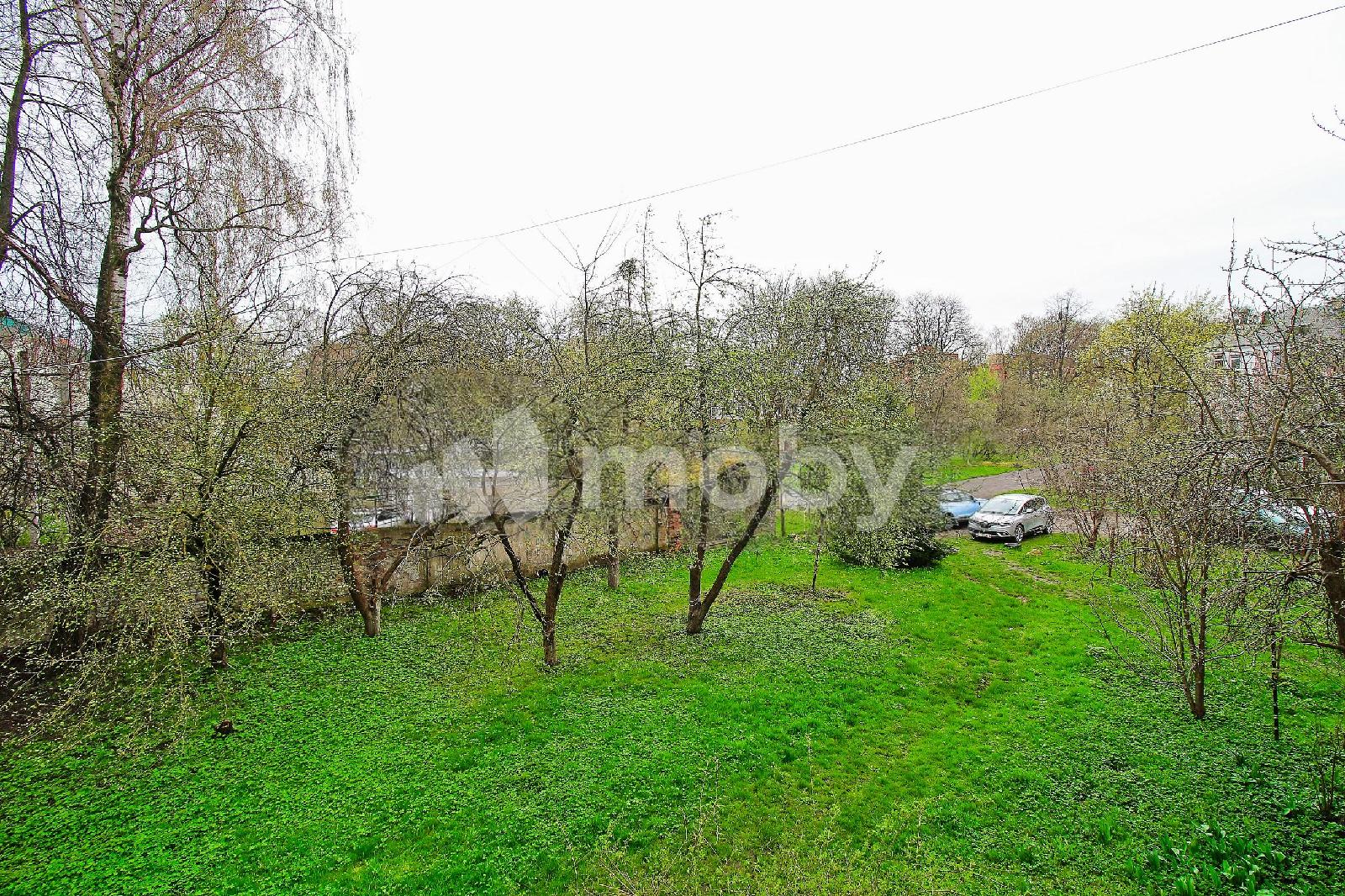 Фото: c8fe753c-2a36-4227-8ed8-ac3a8d367b70.JPG