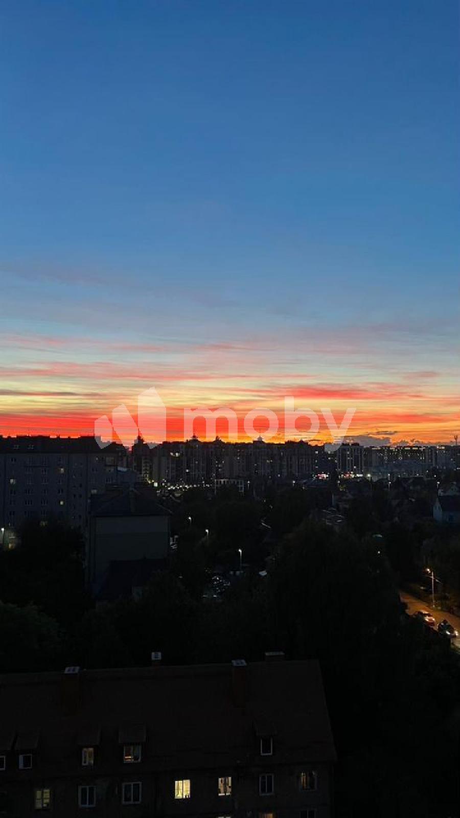 Фото: c91647dc-4882-416d-870e-3be065ad3b26.jpg