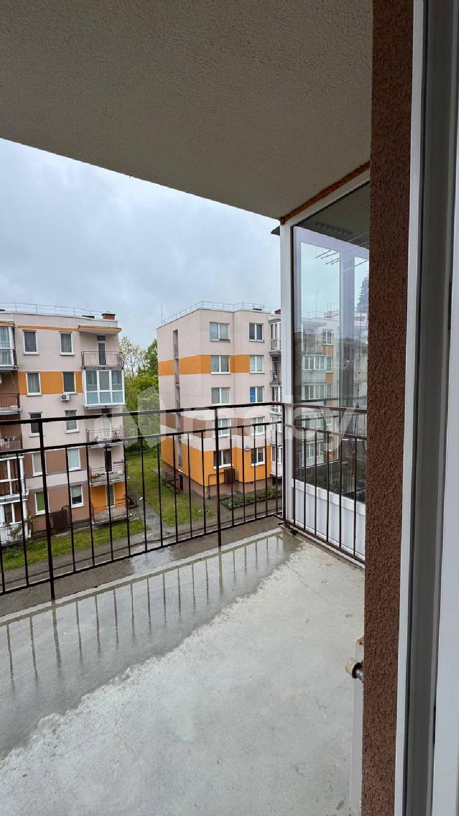 Фото: c94f0a83-cdfa-4f36-a1b7-738c5eb9aa99.jpg