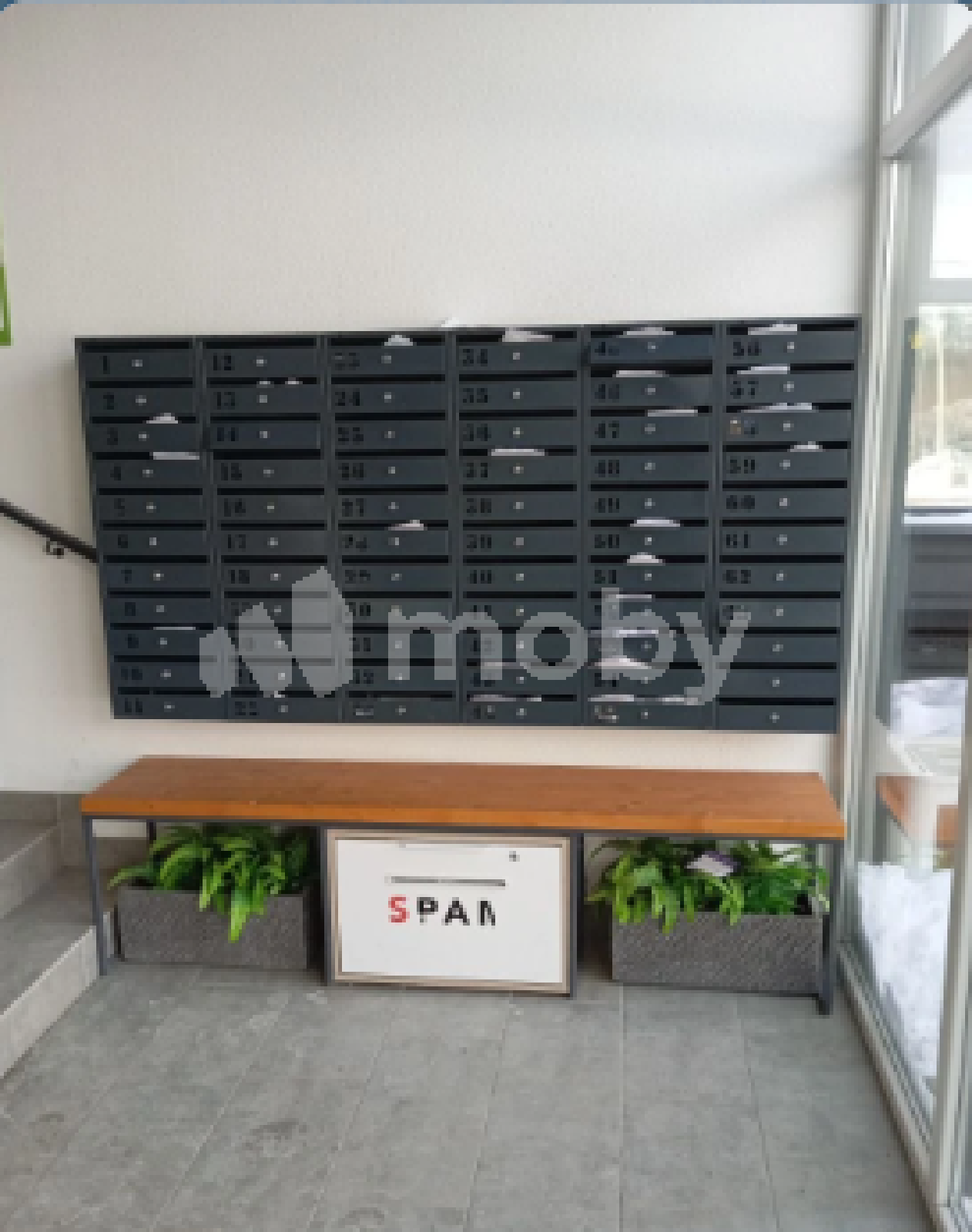 Фото: cab491b9-7157-49b2-9601-966cef5e8ecd.png