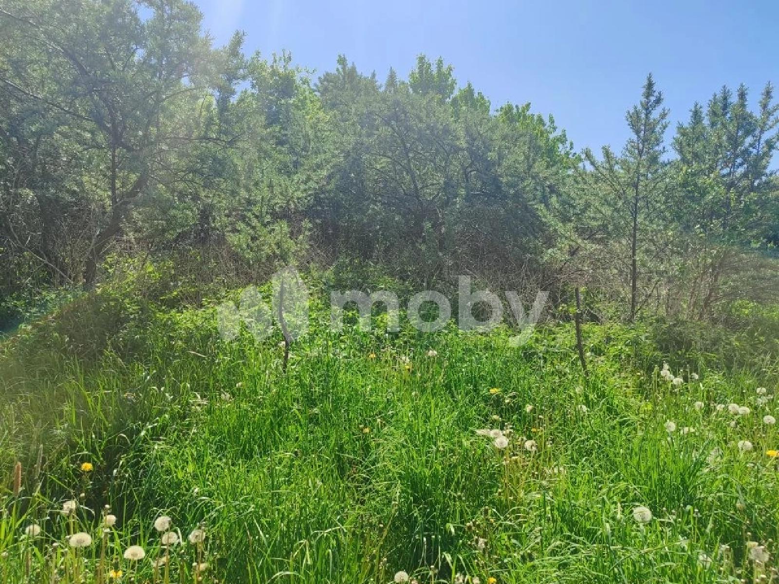 Фото: cb77f2d6-20d6-4ece-a9b1-613f39946fcd.jfif
