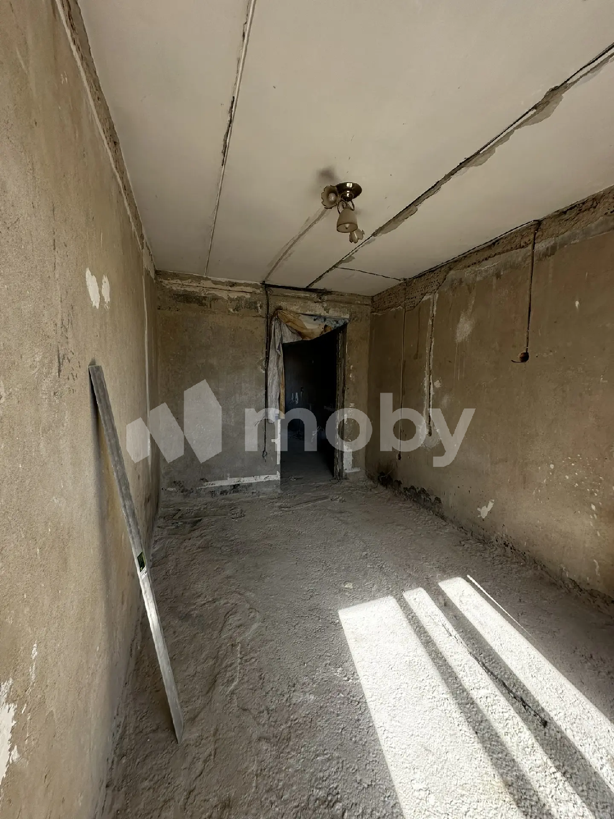 Фото: cbbbd827-b056-459b-8ee1-8162bf69126b.png