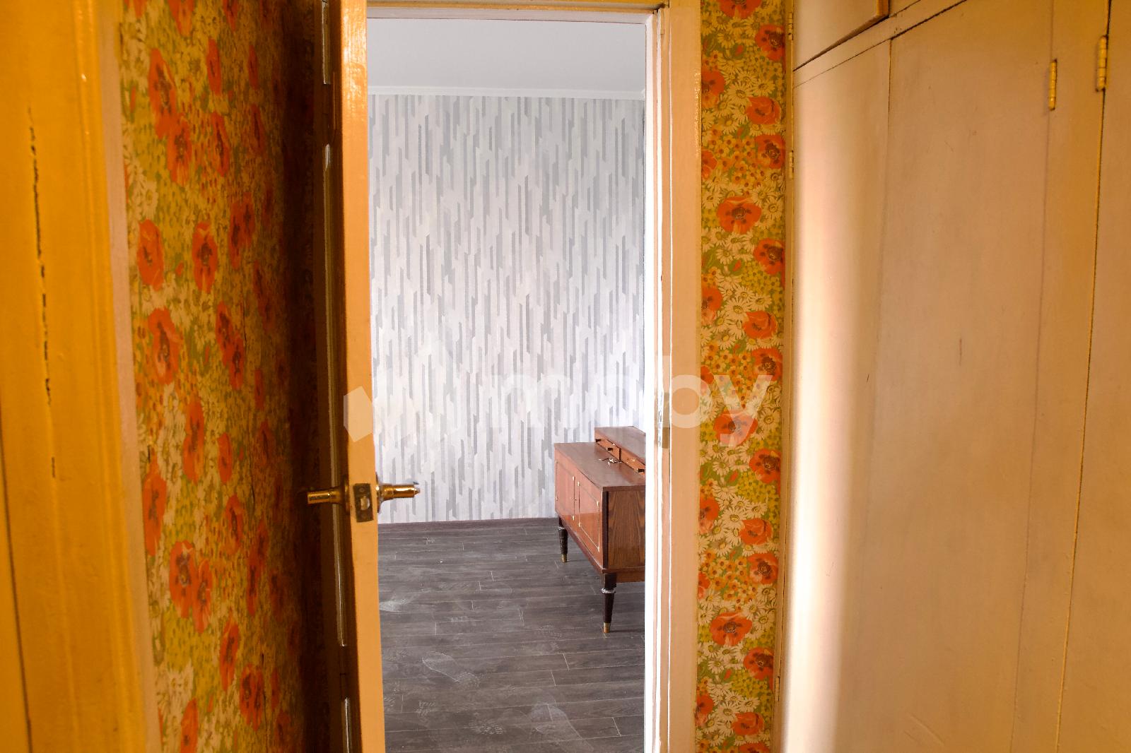 Фото: cd2a7f6a-3d6e-4794-96a0-359ae0812efb.jpg