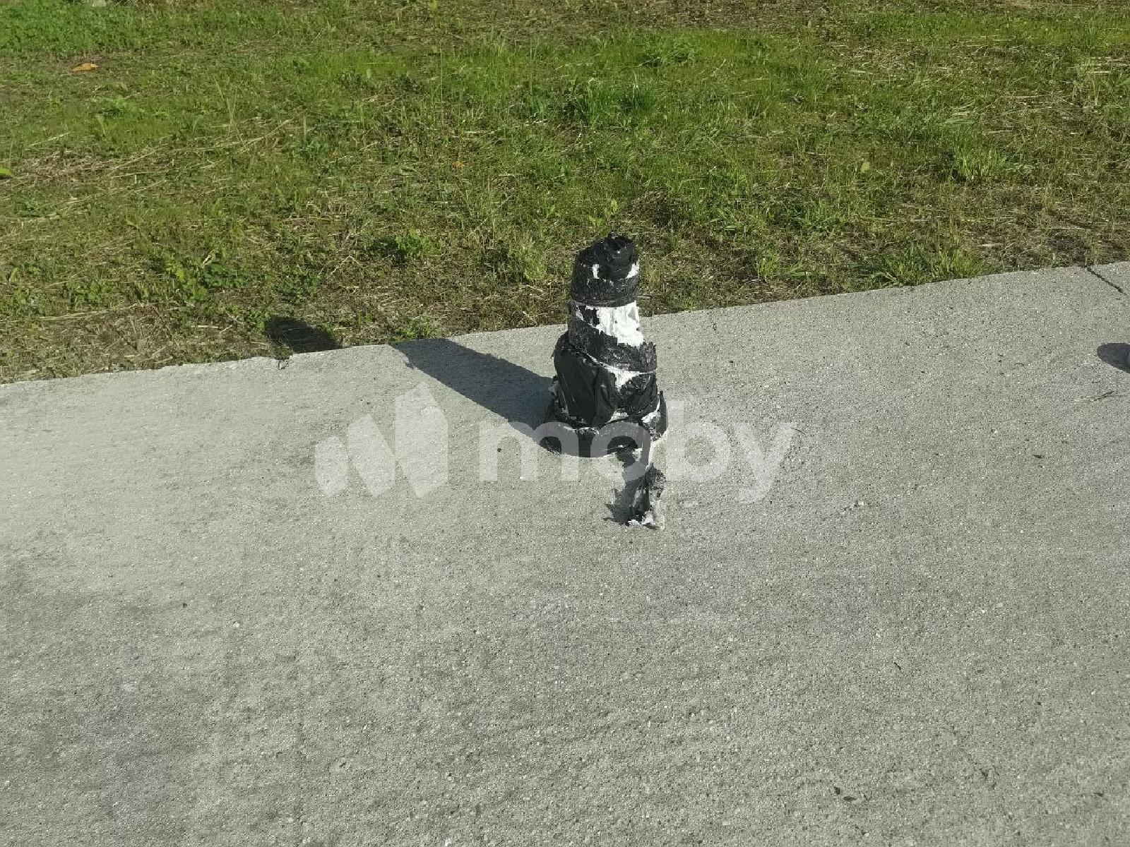 Фото: cda35362-011e-4074-b3cb-3b4eb083a646.jpg