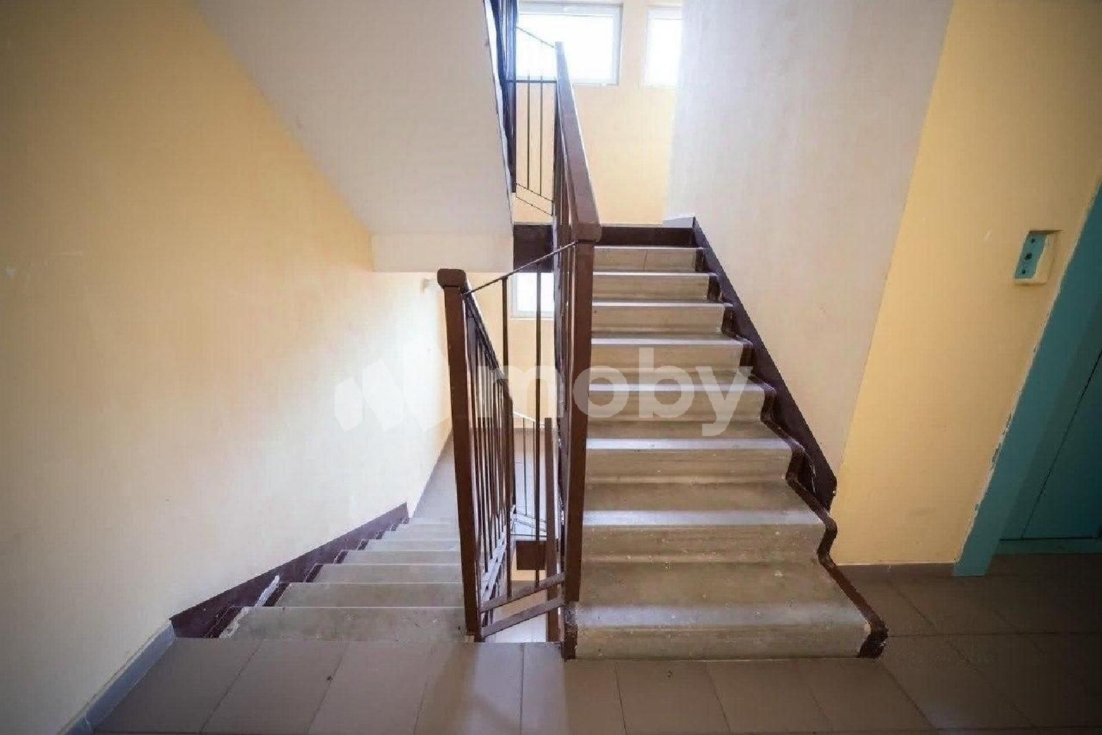 Фото: ce9b2a44-b2c4-4fbf-a7f4-786b66c2712a.jpg