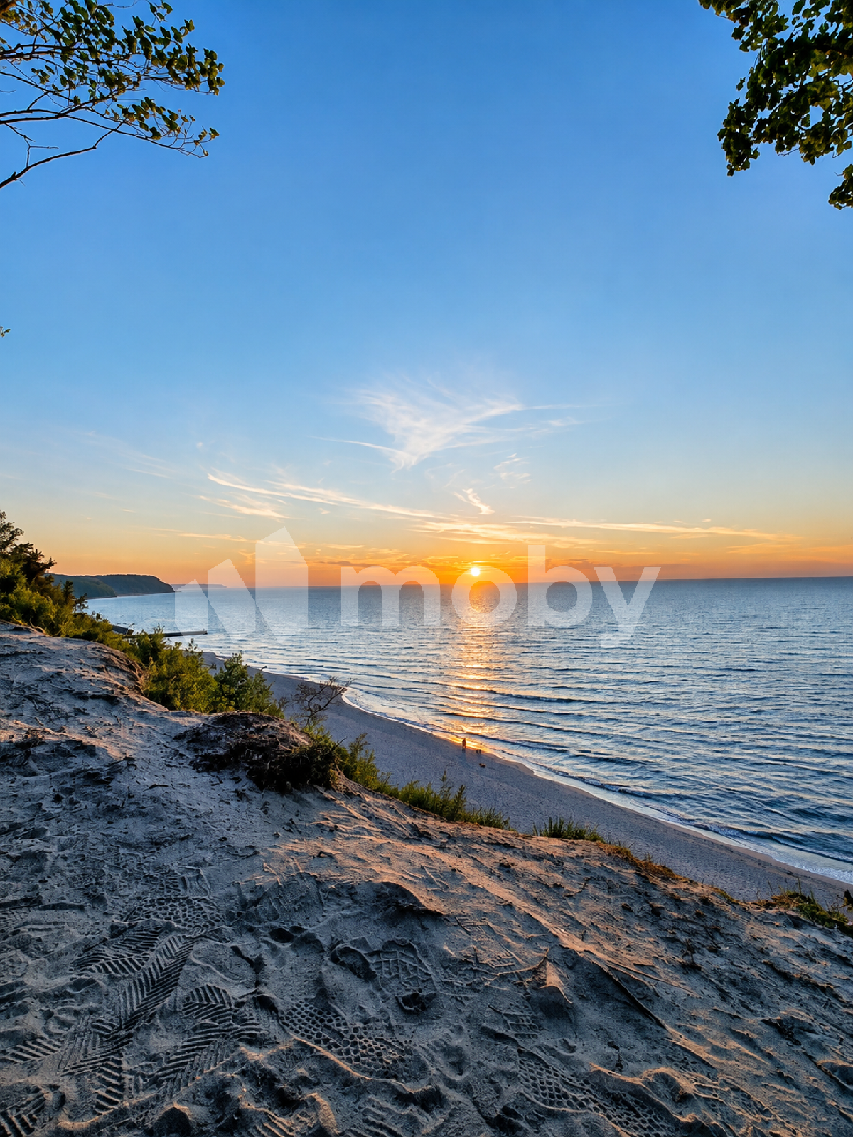Фото: cecdf0ad-7e80-4c70-bfb4-ca0f49a80b8e.png