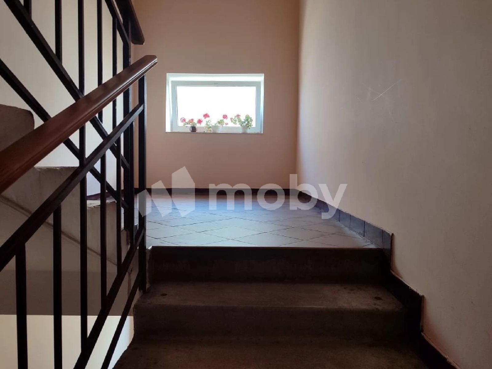Фото: cf729a37-4784-430d-8759-a021babd696f.jfif