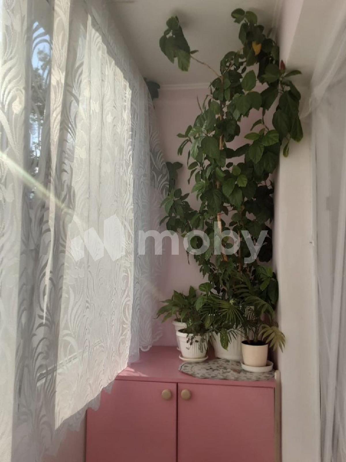 Фото: cfd8cdc8-1ab9-4eb4-8645-7d85767fe8b0.jpeg